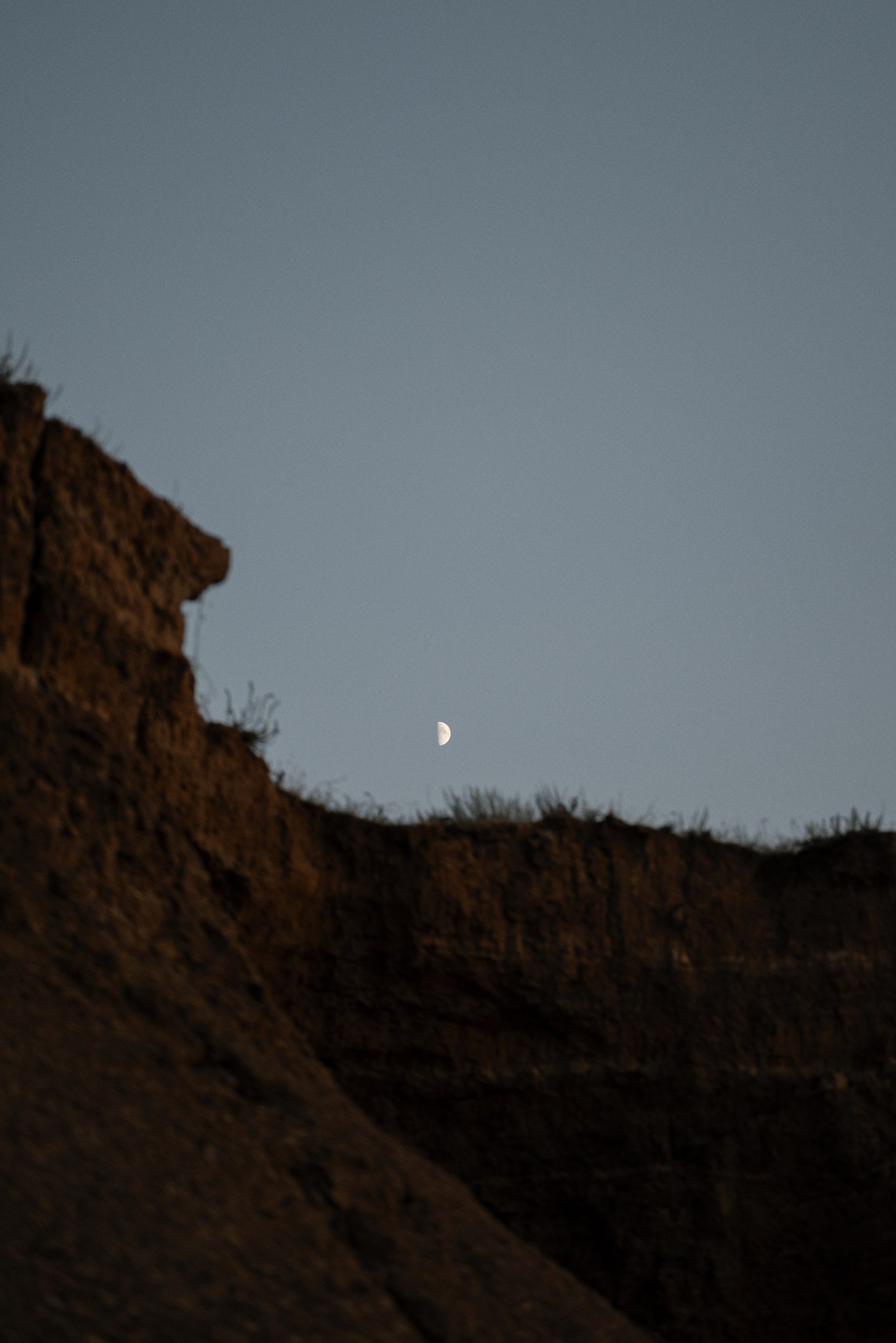 Джулия. Алёна Куртова