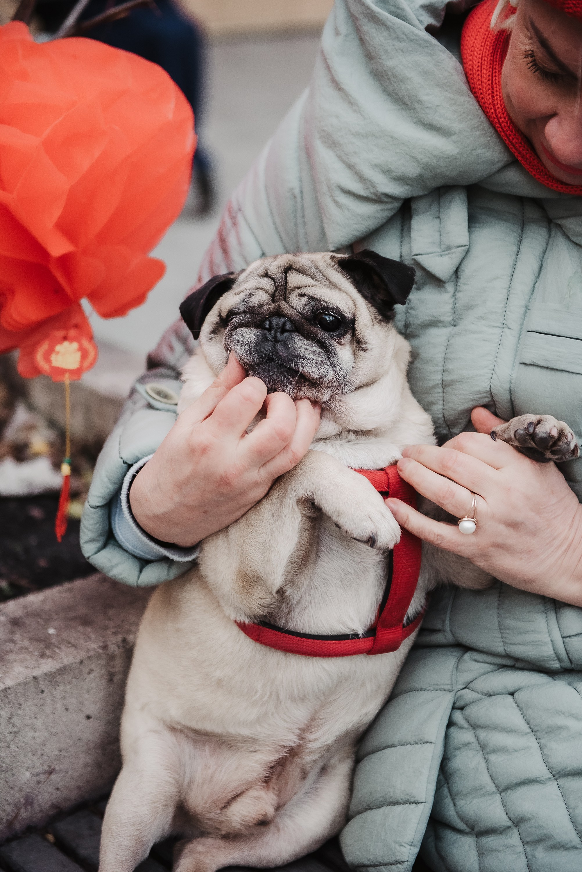 Ольга и Потапум. Прогулка к чайному дому. Семейный Фотограф в Москве Ирина Хохлова