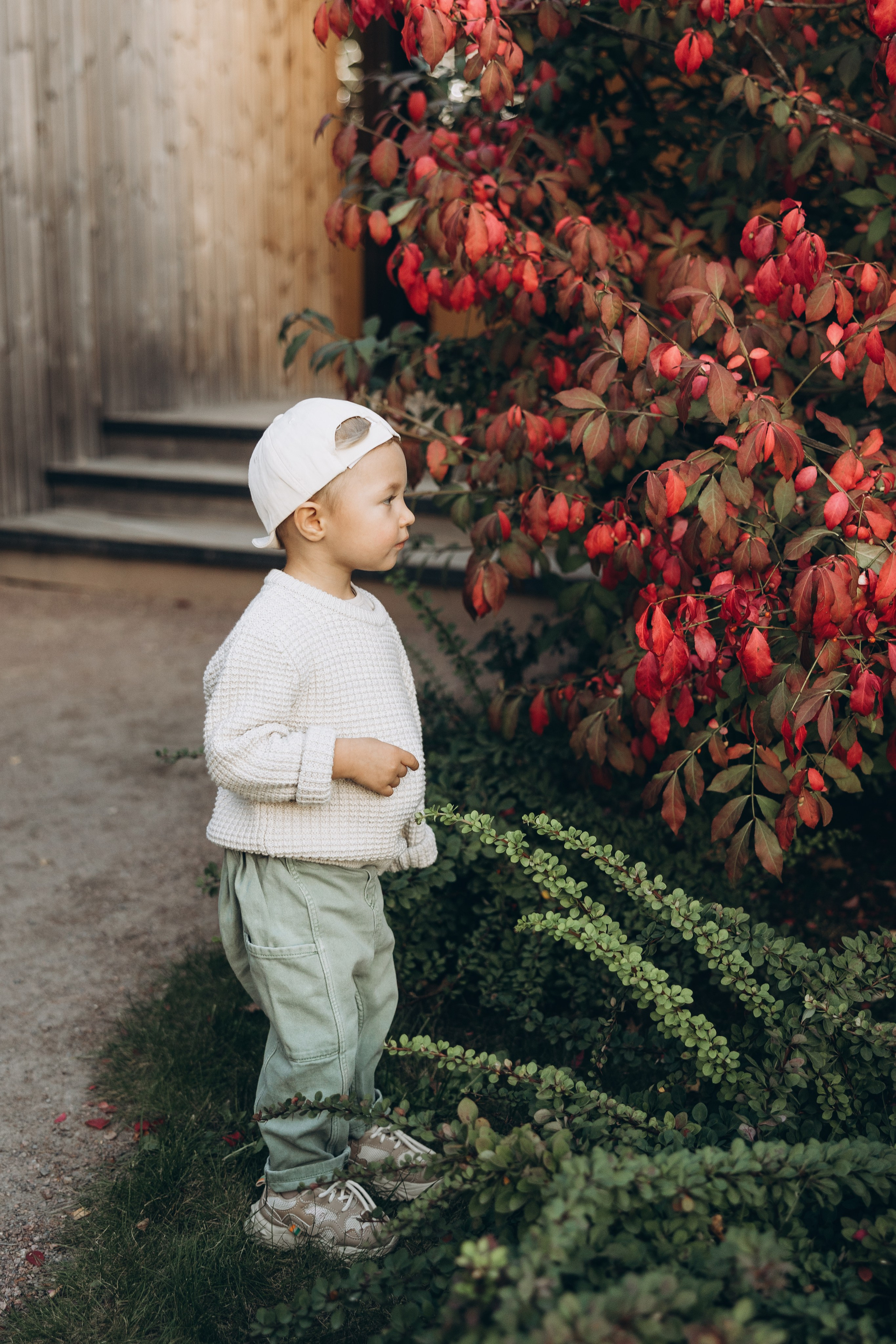 Екатерина, Ярослав, Артём, Макар и Демид. Семейный фотограф в Москве Виктория Ястребинская