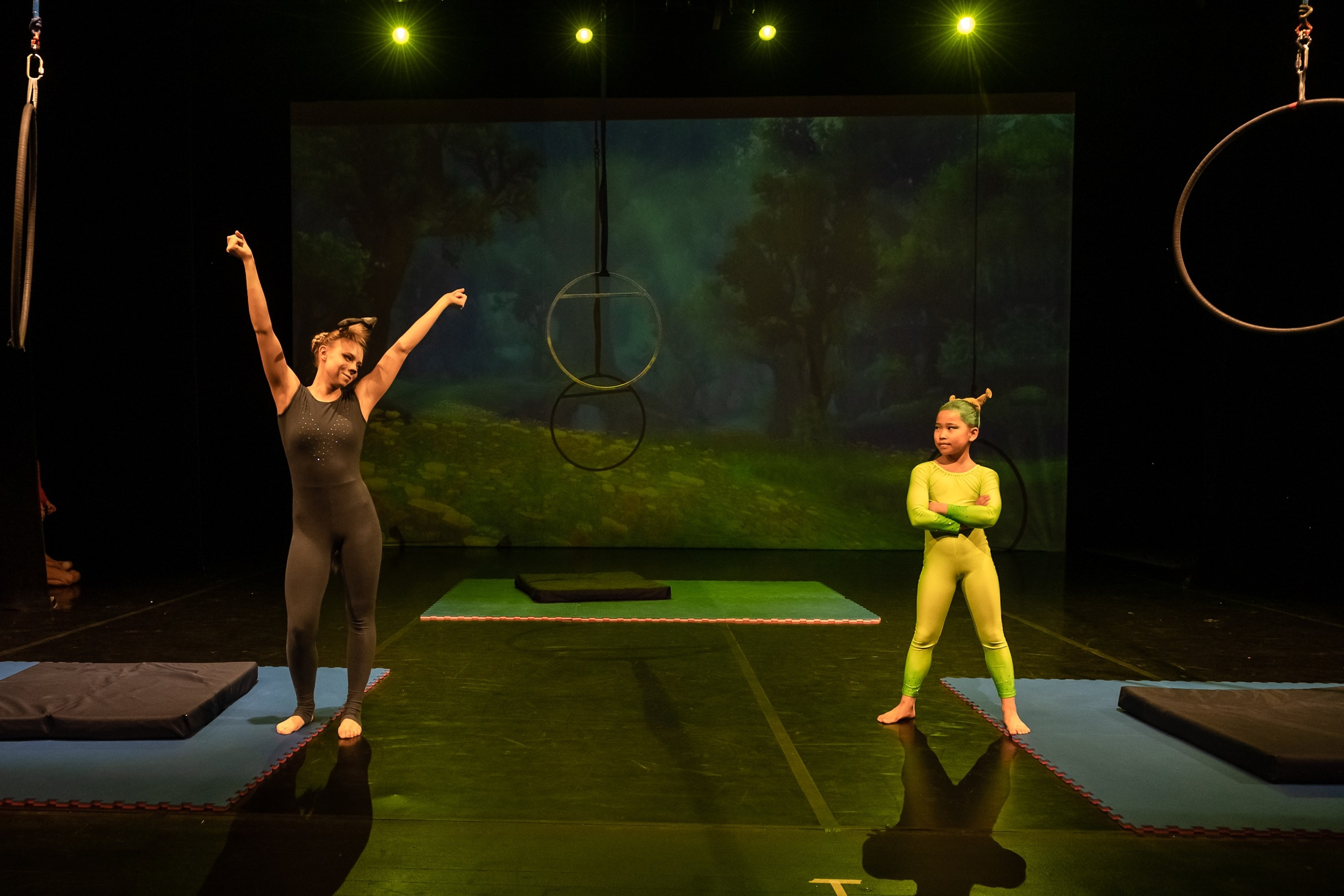 Отчетное выступление студии воздушной гимнастики Sport Evolution. Свадебный и семейный фотограф София Невская