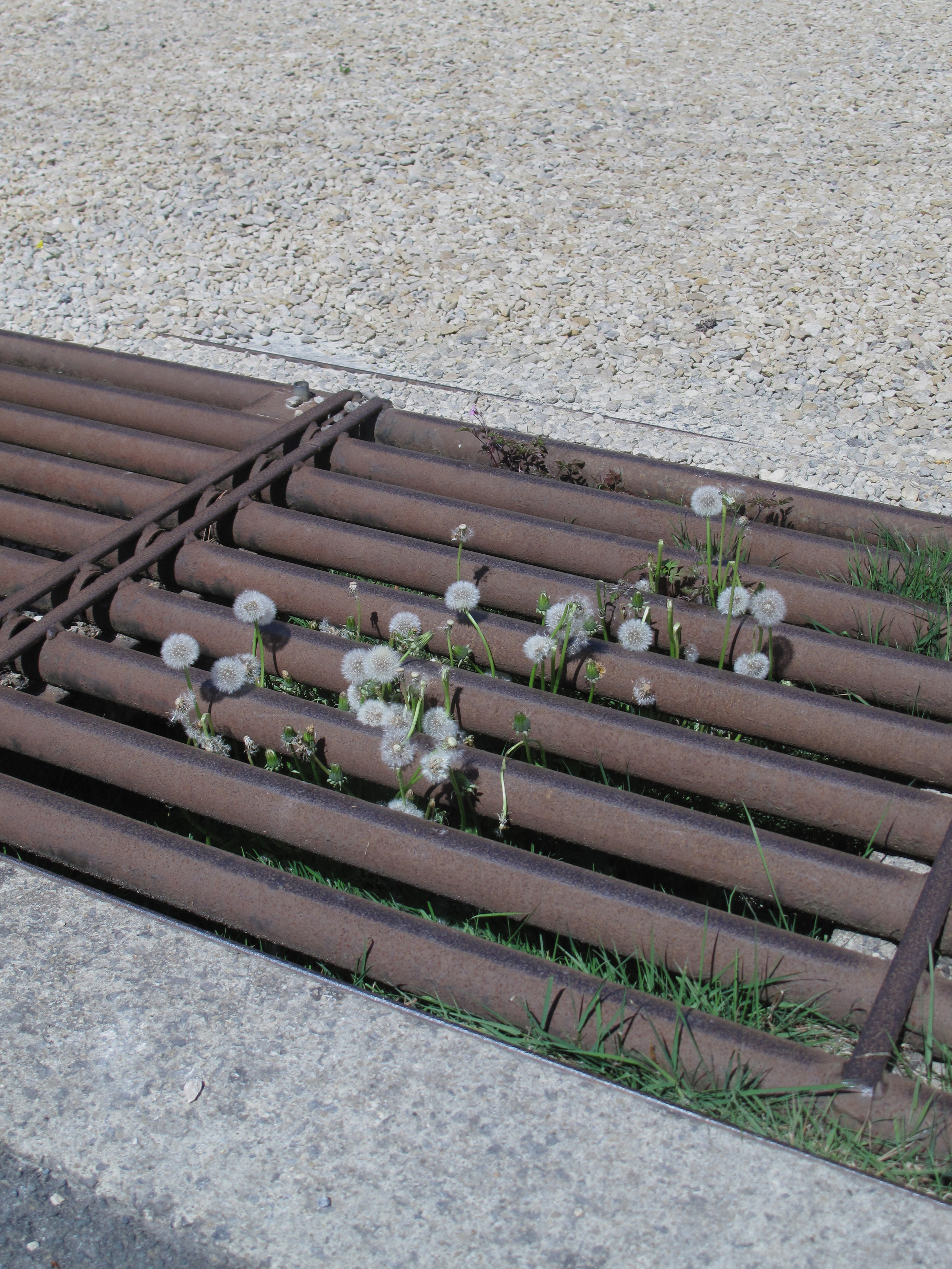 How to be lonely. Breus Sasha photography & art