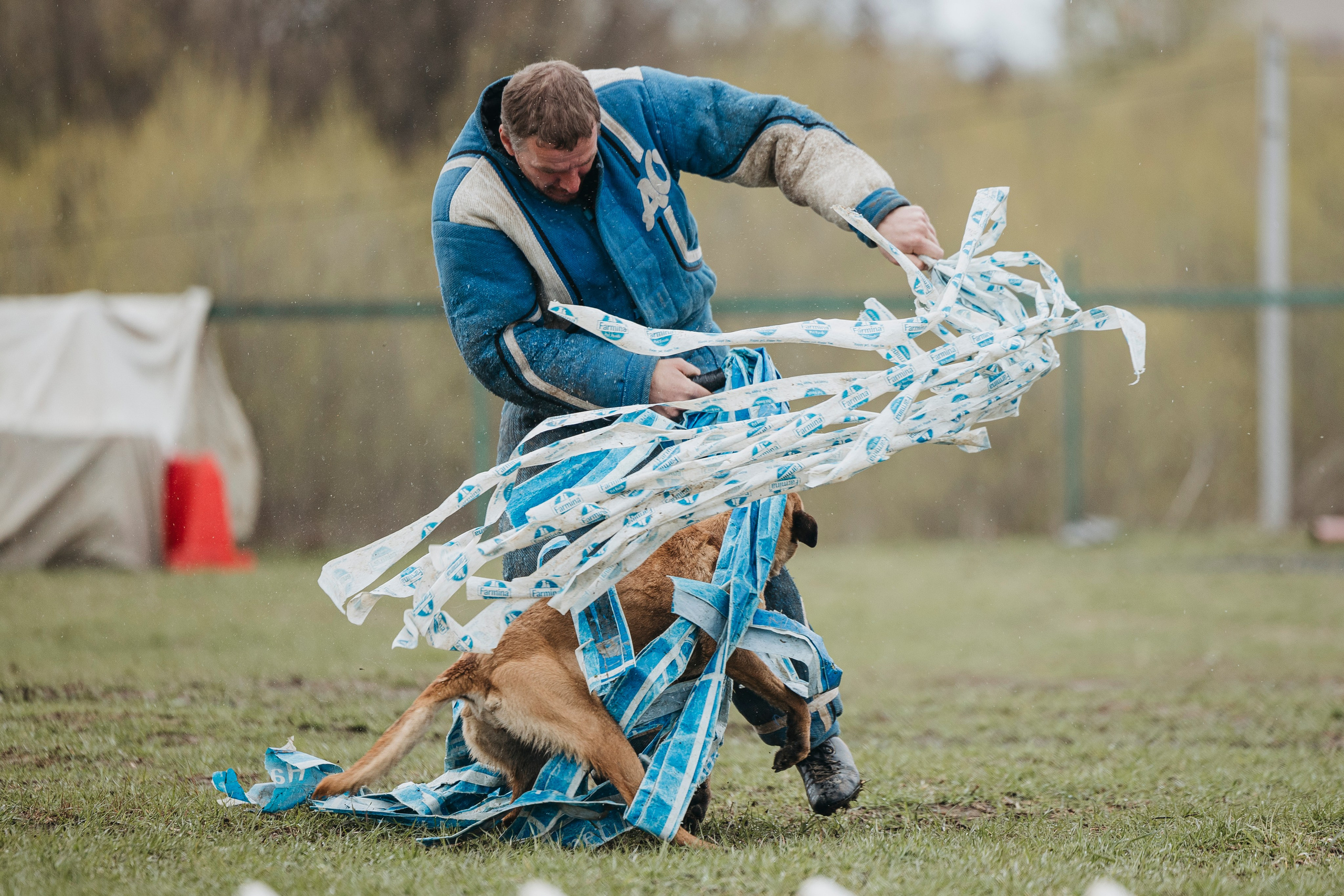09.05.25 Вологда соревнования. Фотограф-анималист Анна Маринич