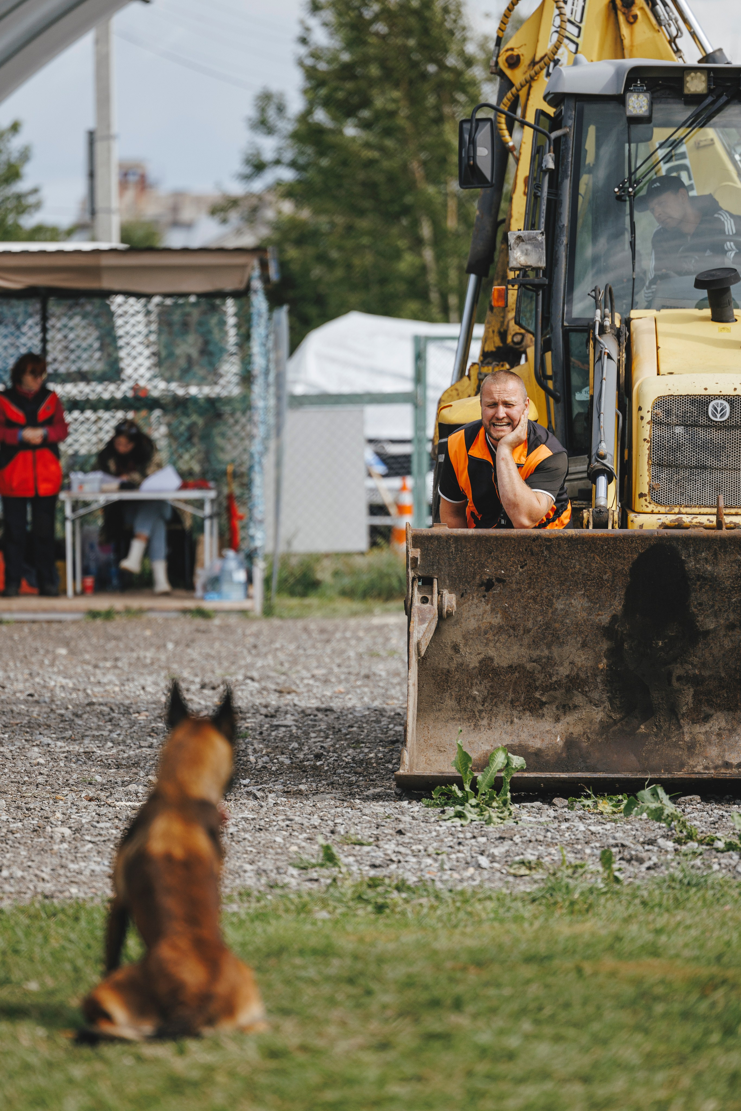 08.08.25-10.08.25 ЧР по мондьорингу г. Вологда. Фотограф-анималист Анна Маринич