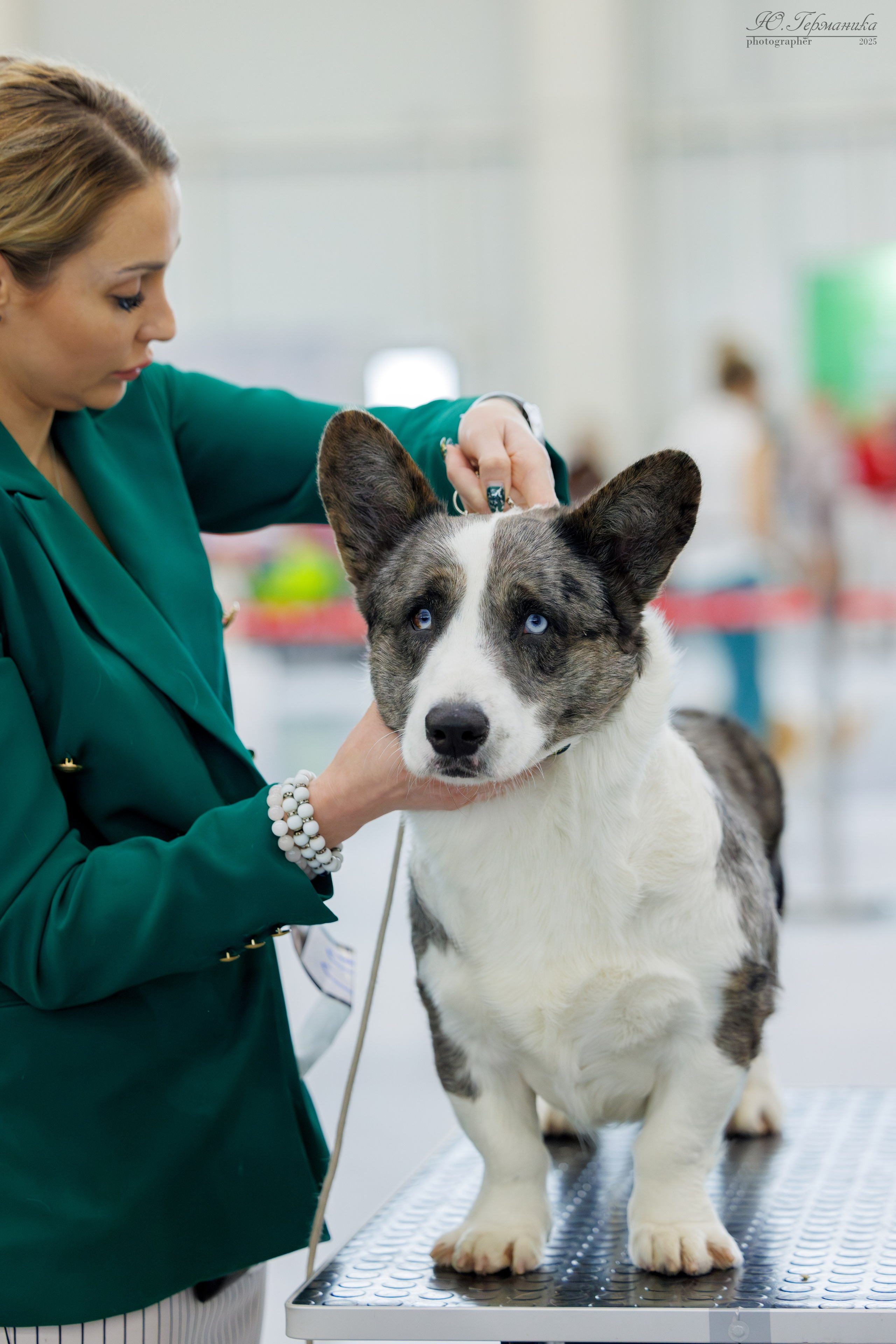 Сабанеевка Казань 25-26.01.2025. Фотограф-анималист Юлия Германика