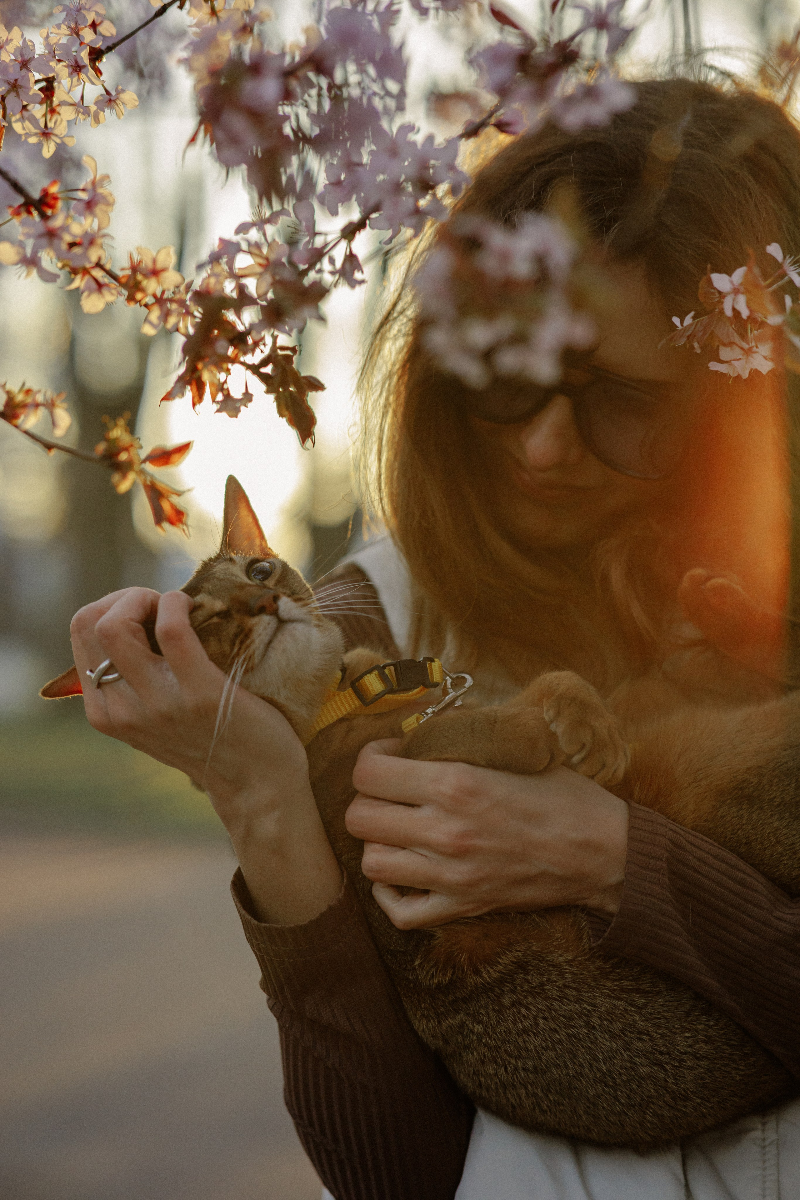 Екатерина и Персик. Фотограф в Санкт-Петербурге Алёна Губинская