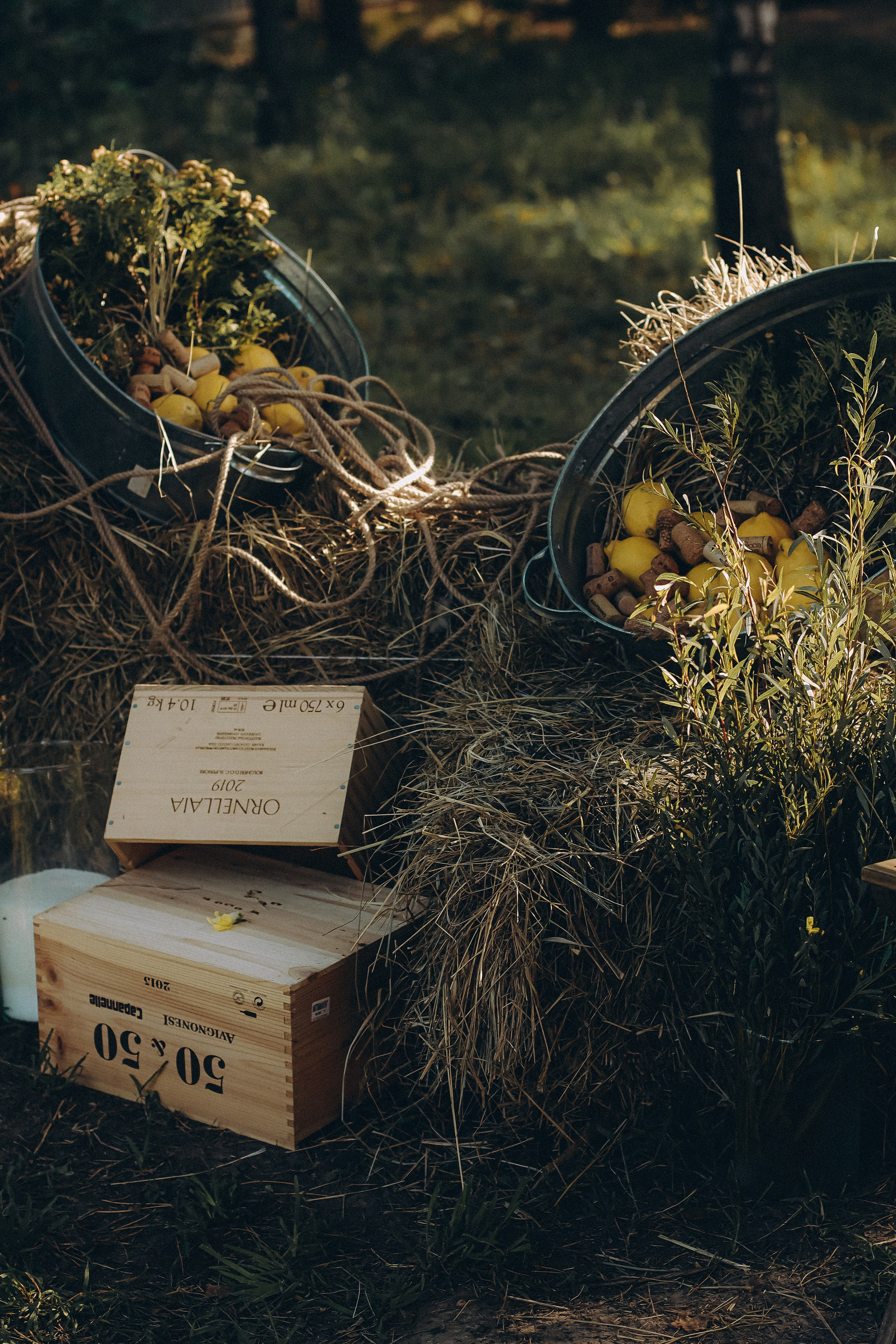 Pavel ∞ Anastasiya. Фотограф Анна Веденеева