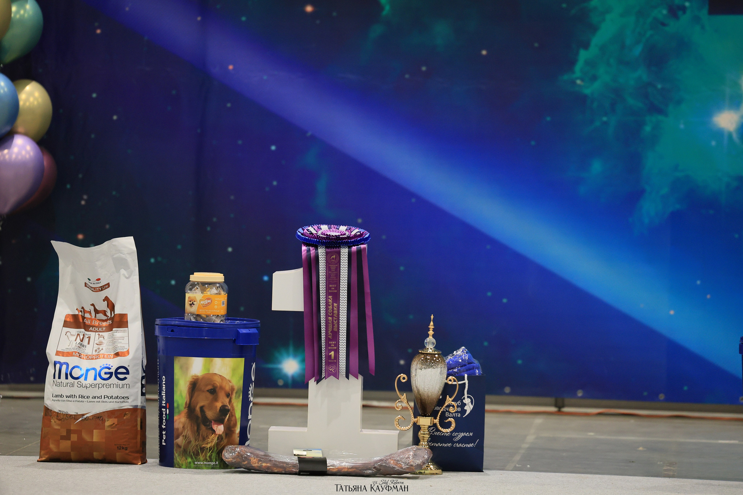 28-29.03.2026 Рейтинговая выставка в Новосибирске. Фотограф Анималист из Новосибирска Татьяна Кауфман