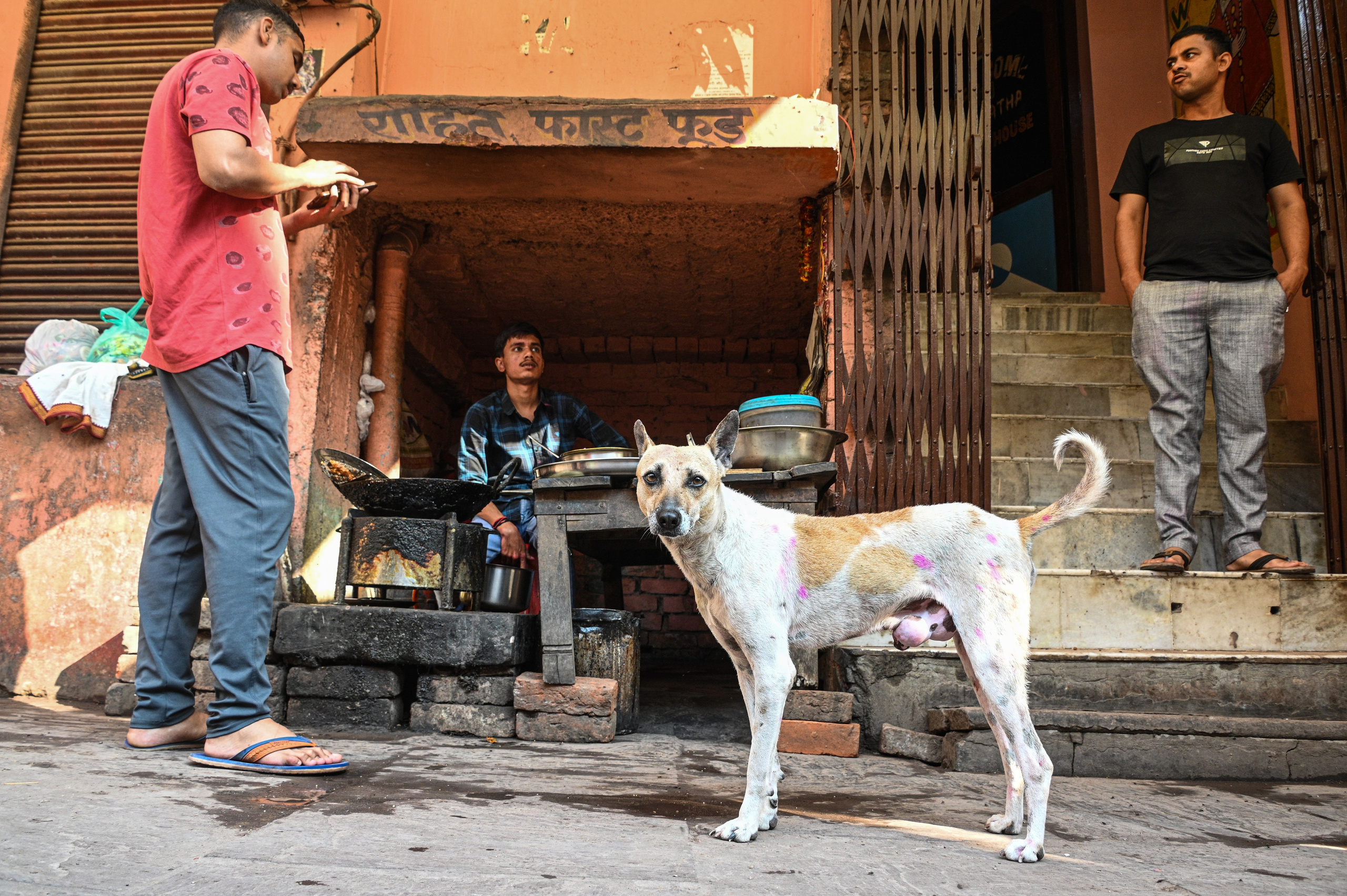 Невероятная Индия. Игорь Иванко — Репортажный и событийный фотограф. Москва