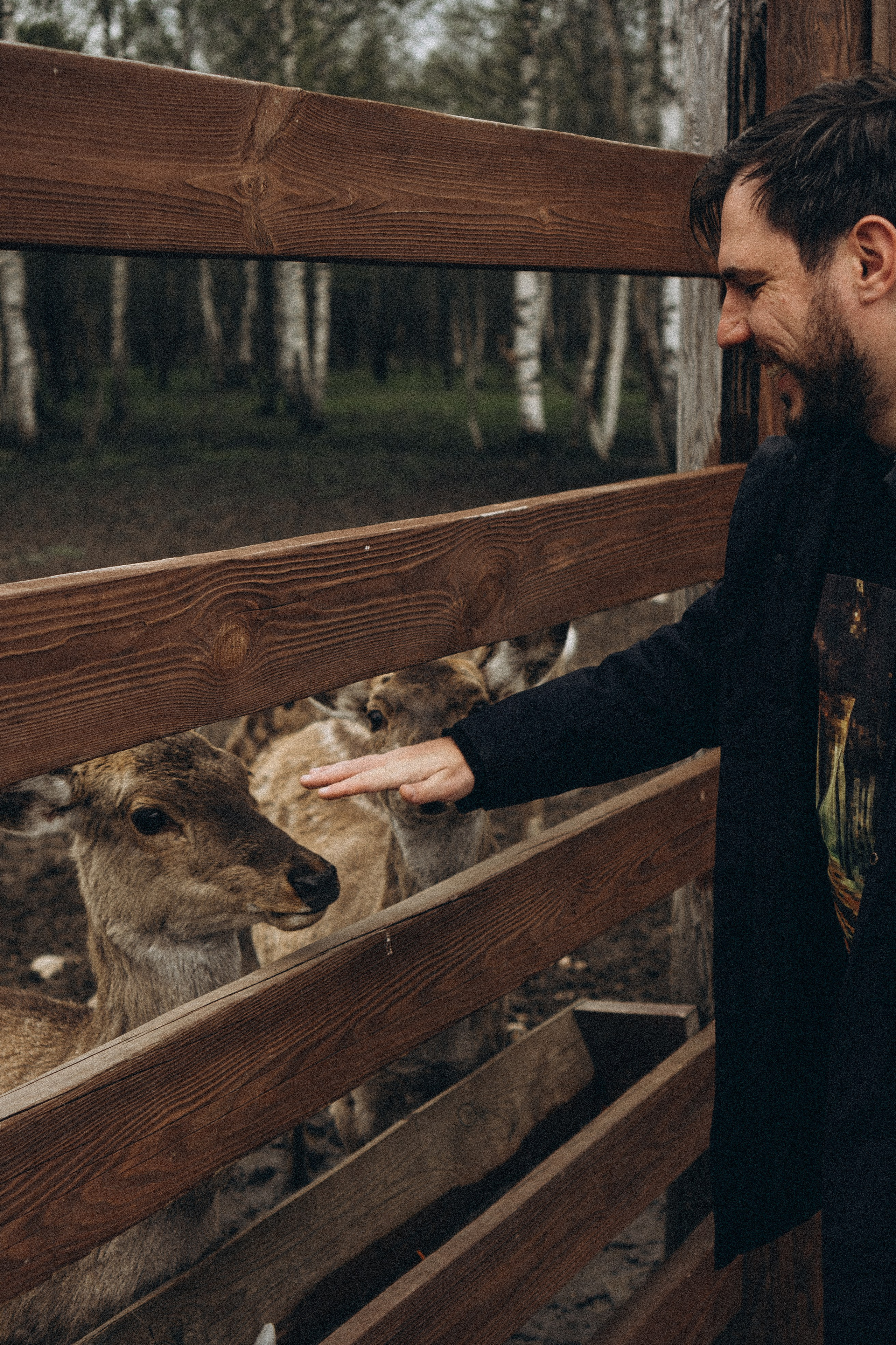 ОЛЕНЬЯ ФЕРМА В ТВЕРИ. Профессиональный фотограф, Санкт-Петербург — Виктория Богомолова