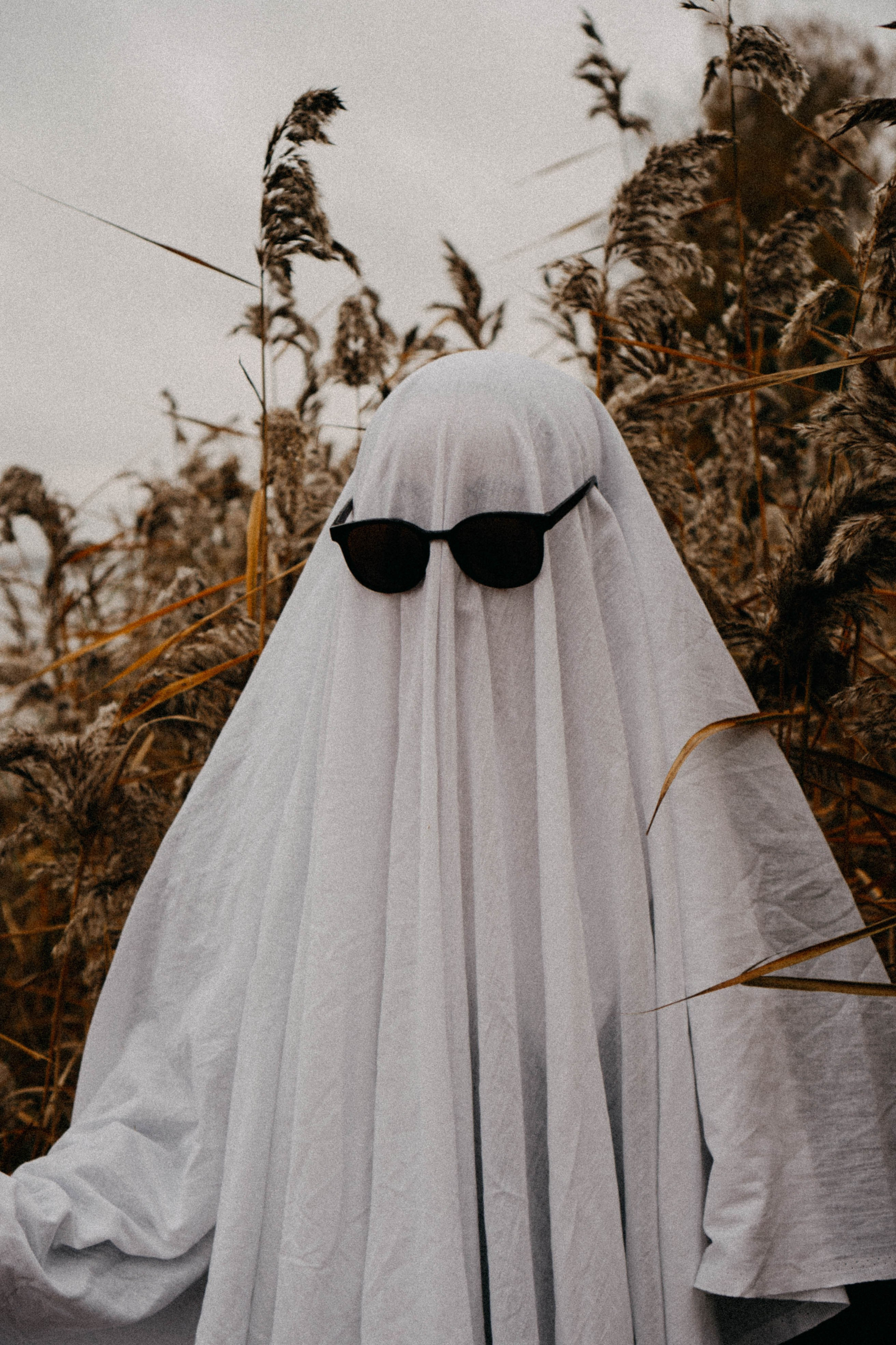 Осеняя. Профессиональный фотограф, Санкт-Петербург — Виктория Богомолова