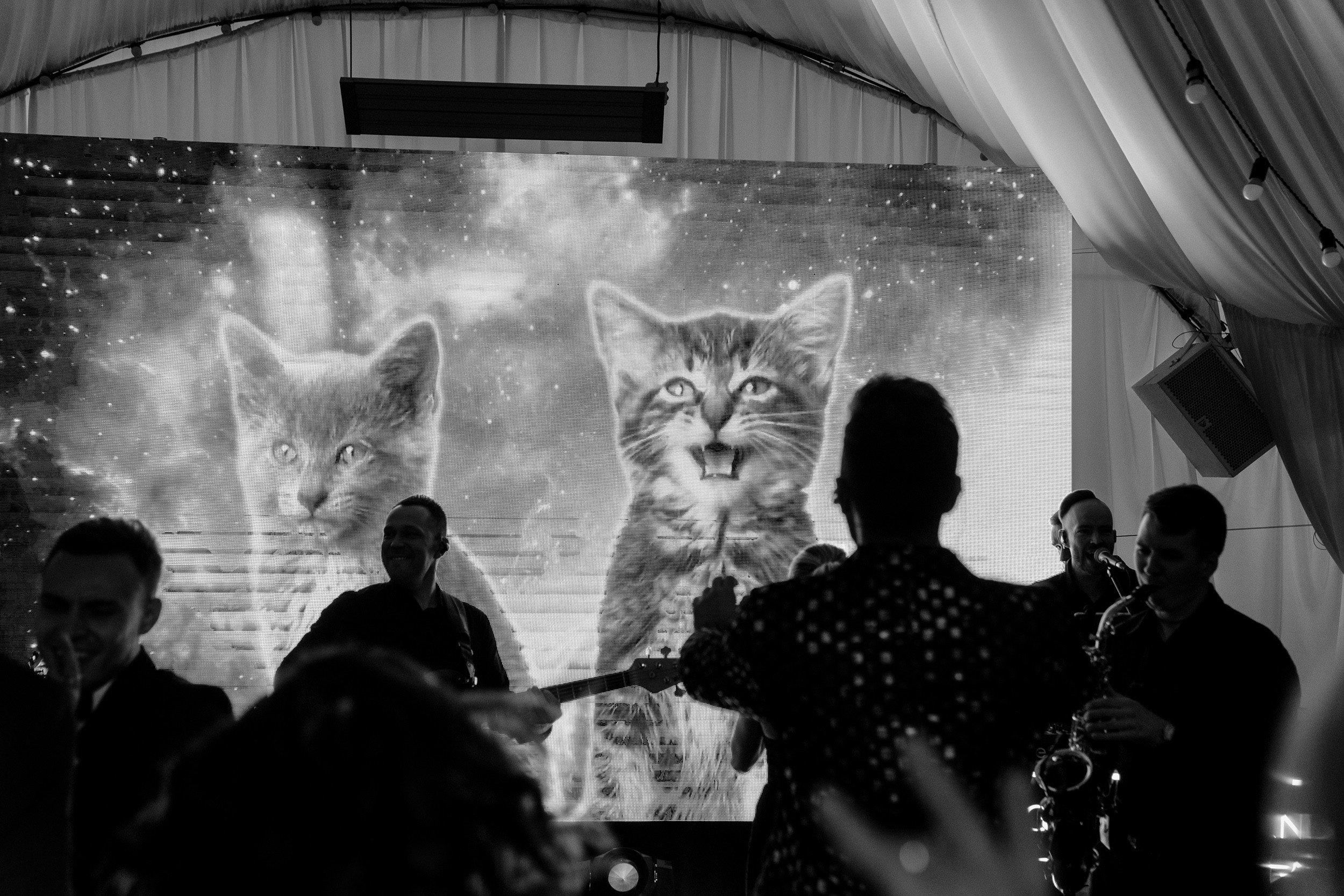 Wedding P&N. Свадебный фотограф Санкт-Петербург СПб