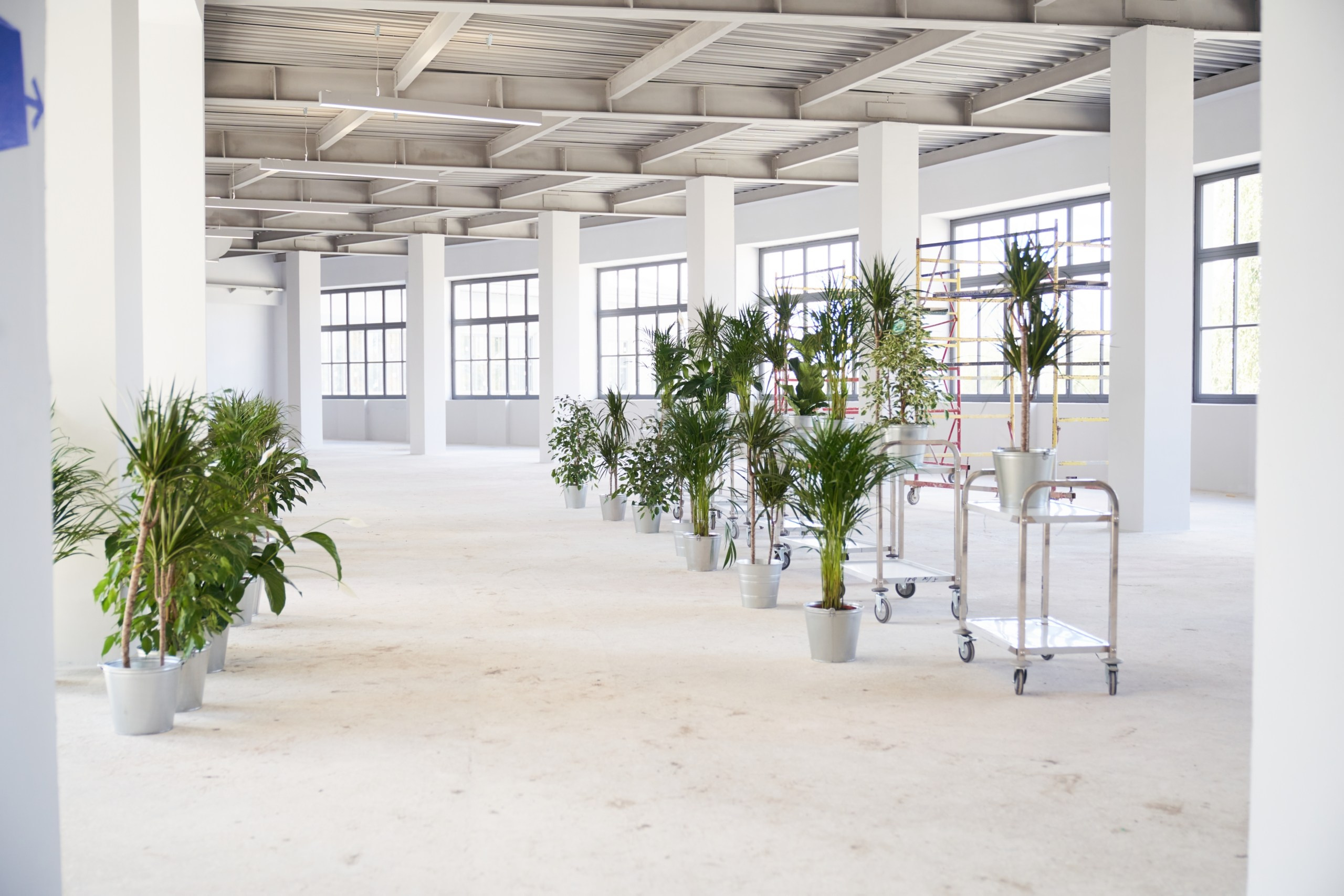 Открытие филиала Третьяковской Галереи. Фотограф Евгений Шаров