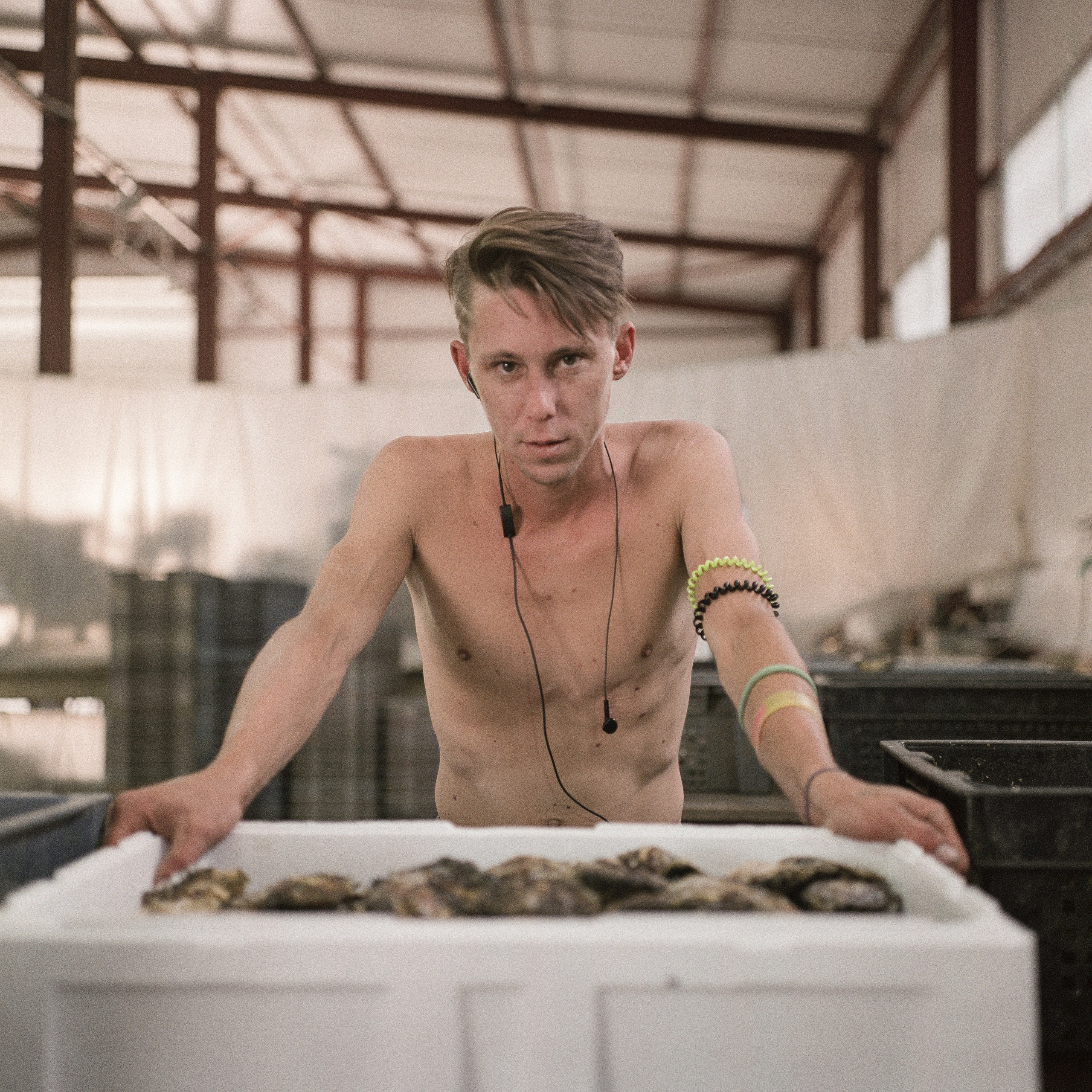 Донузлав. Главная