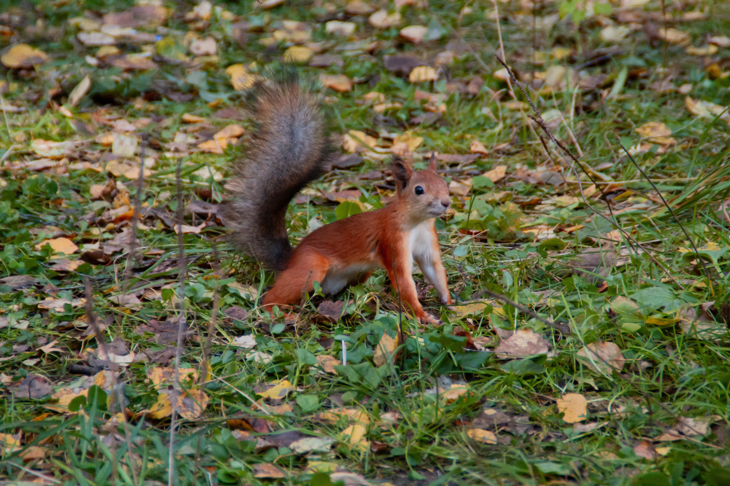 День здоровья в Екатеринбургской академии современного искусства 2025