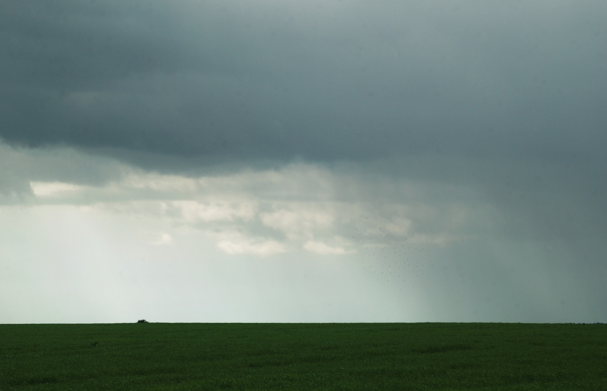 Этот прекрасный мир