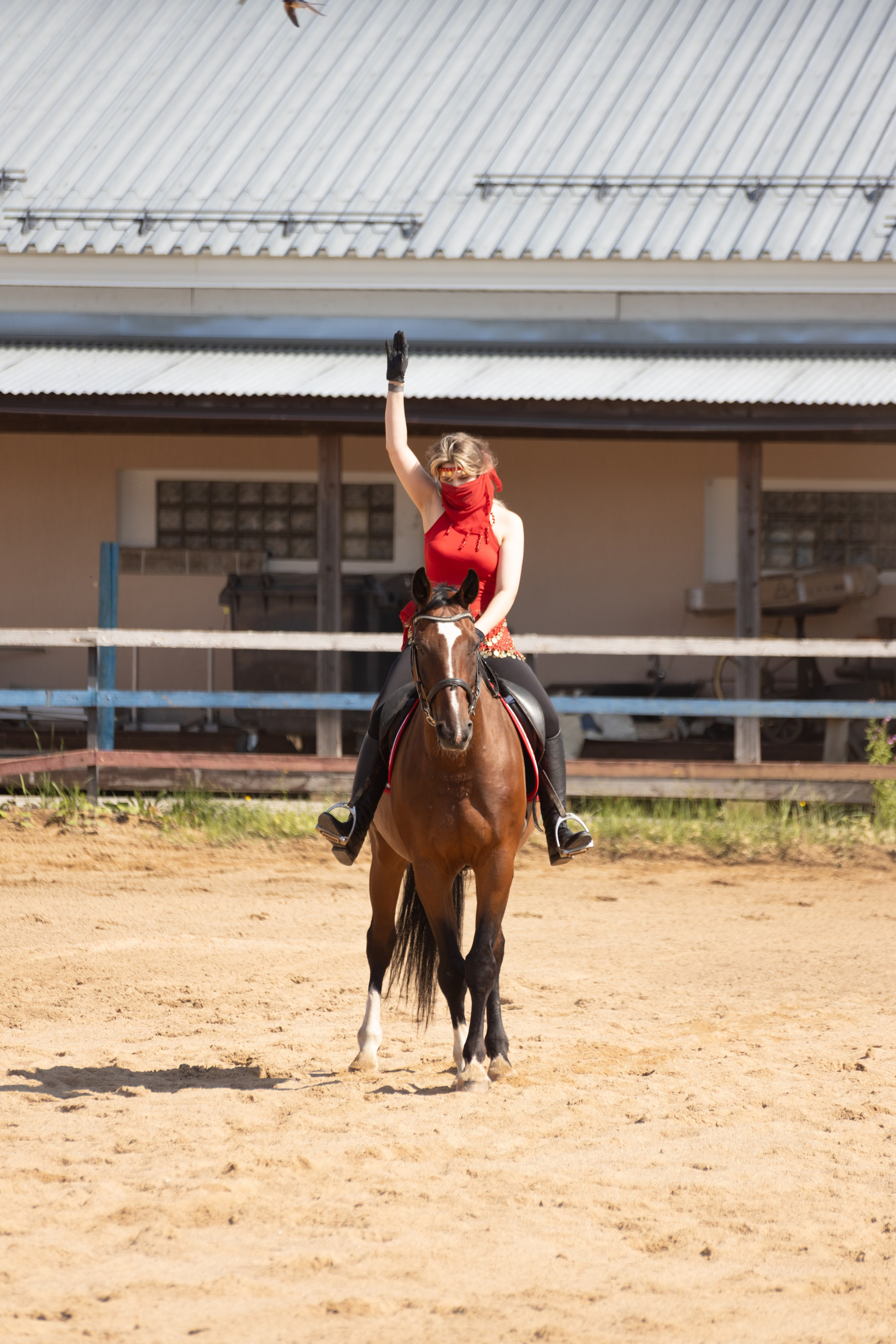 Конюшня. Фотограф в Москве и Истре
