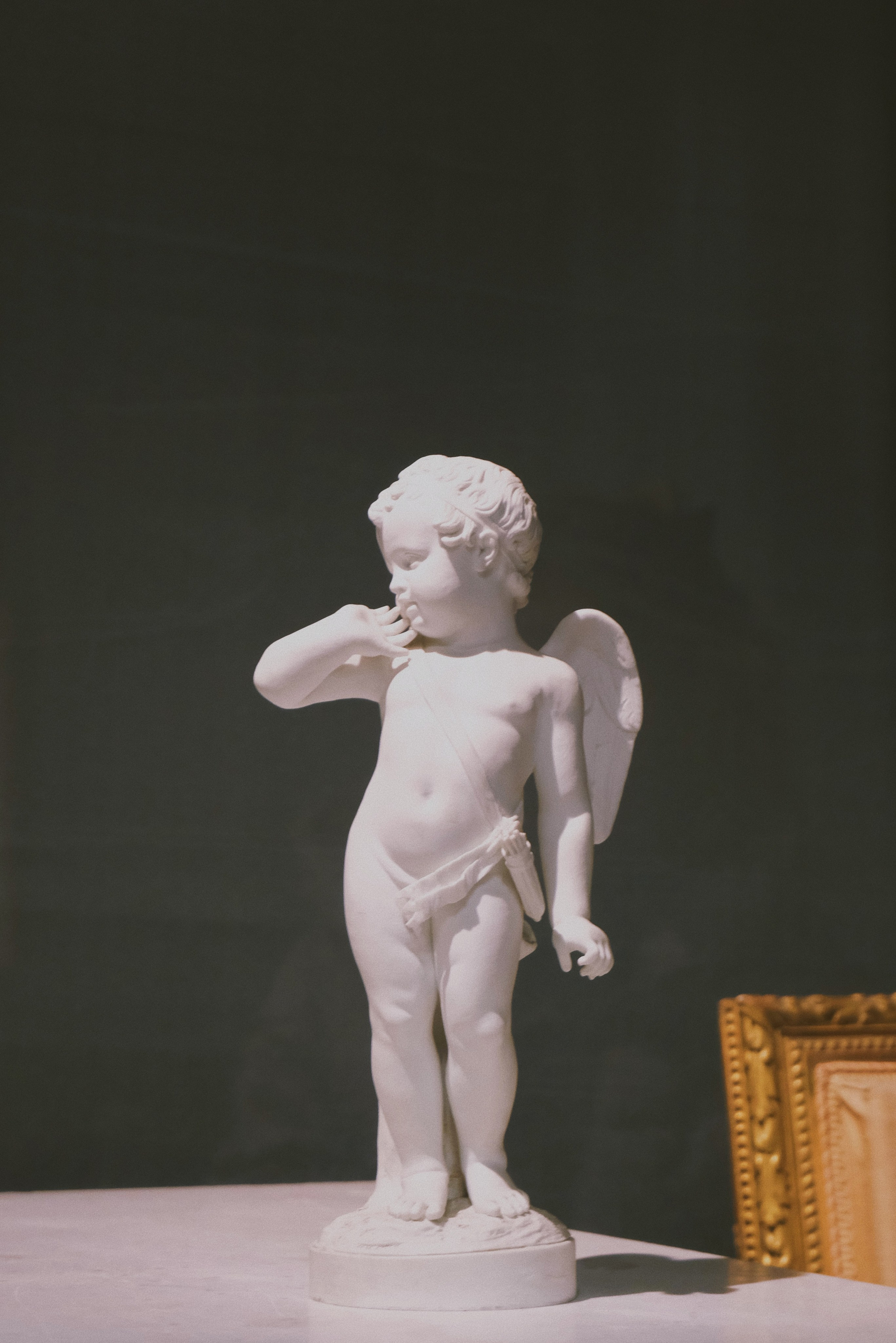 Музей-усадьба кусково. Татьян гертье