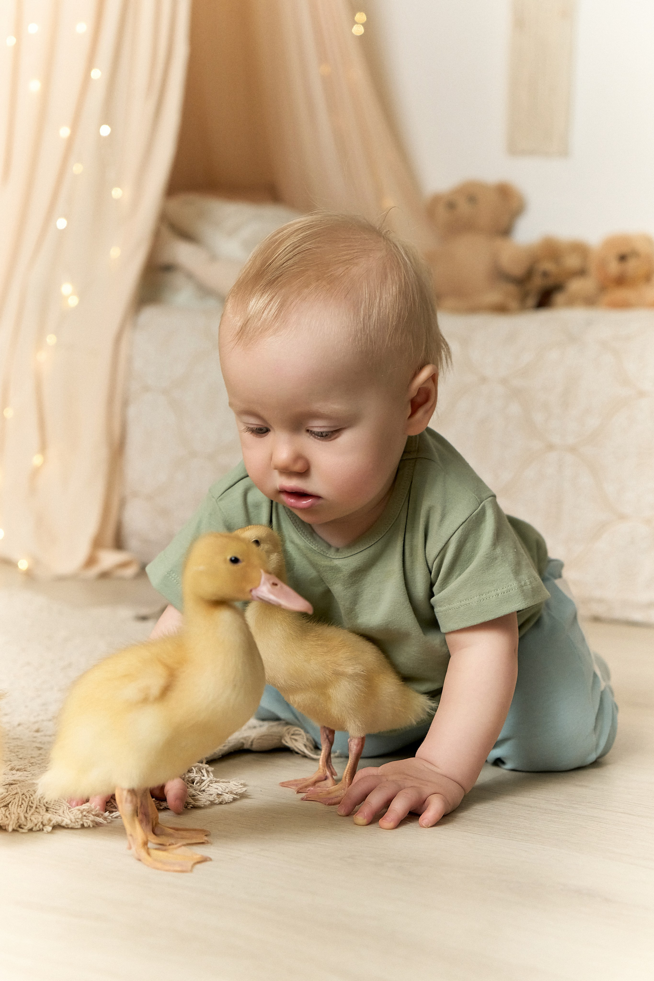 Савелий. Съемка с животными. Антураж. Фотограф в Краснодаре Татьяна Вижевитова