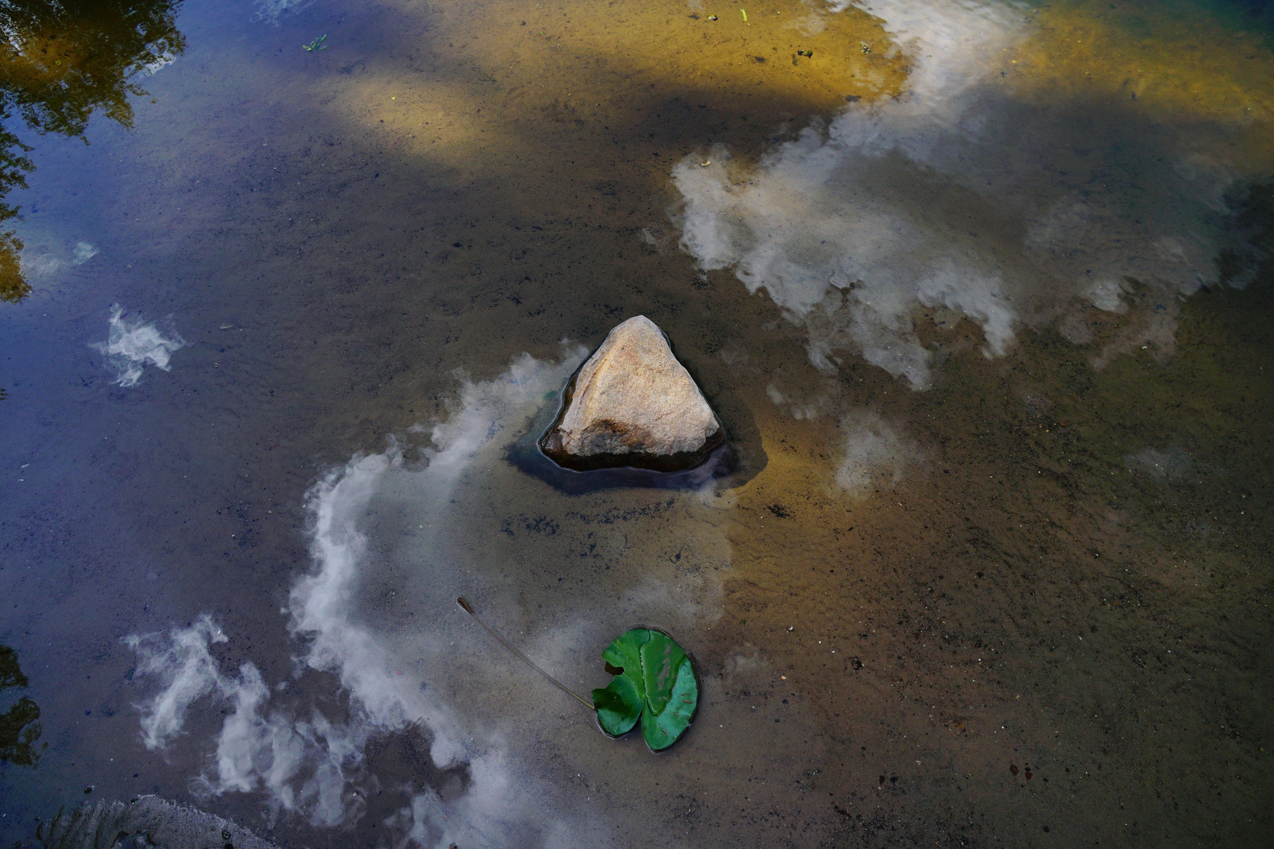 Симуляторы (Каталог № 4). Главная