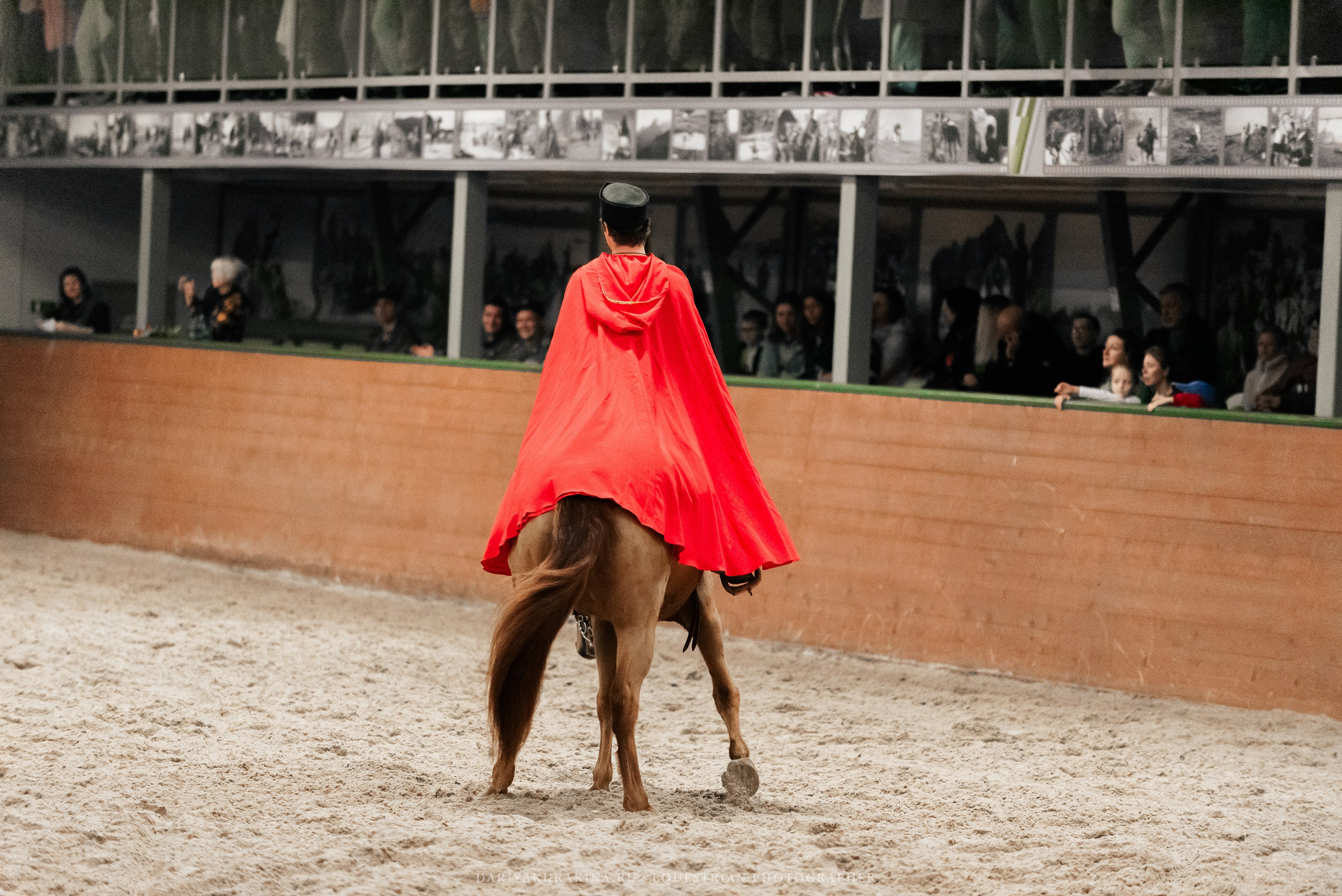 Конное представление «Дыхание Звёзд». Конный фотограф Куракина Дарья • Фотосессии с лошадьми