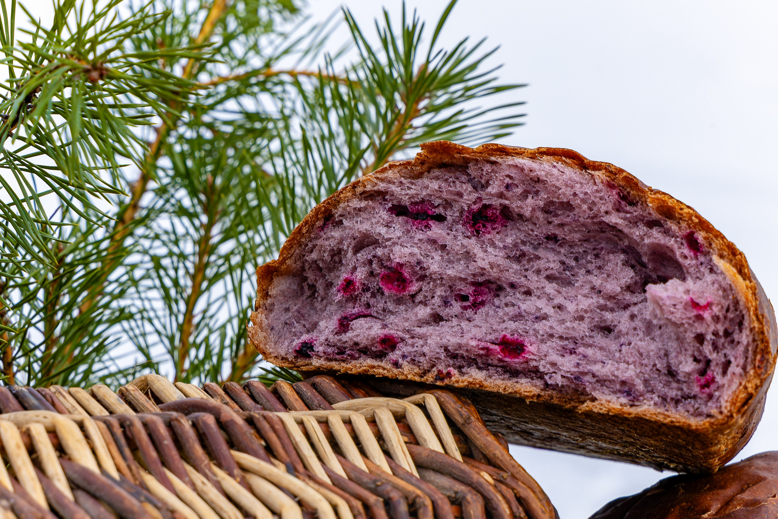 Ярмарка-фестиваль «Я-Я, КЕМСКА ВОЛОСТЬ!» (2024 г.). Аэросъемка. Фото и Видео в Карелии. Алексей Фрилунд