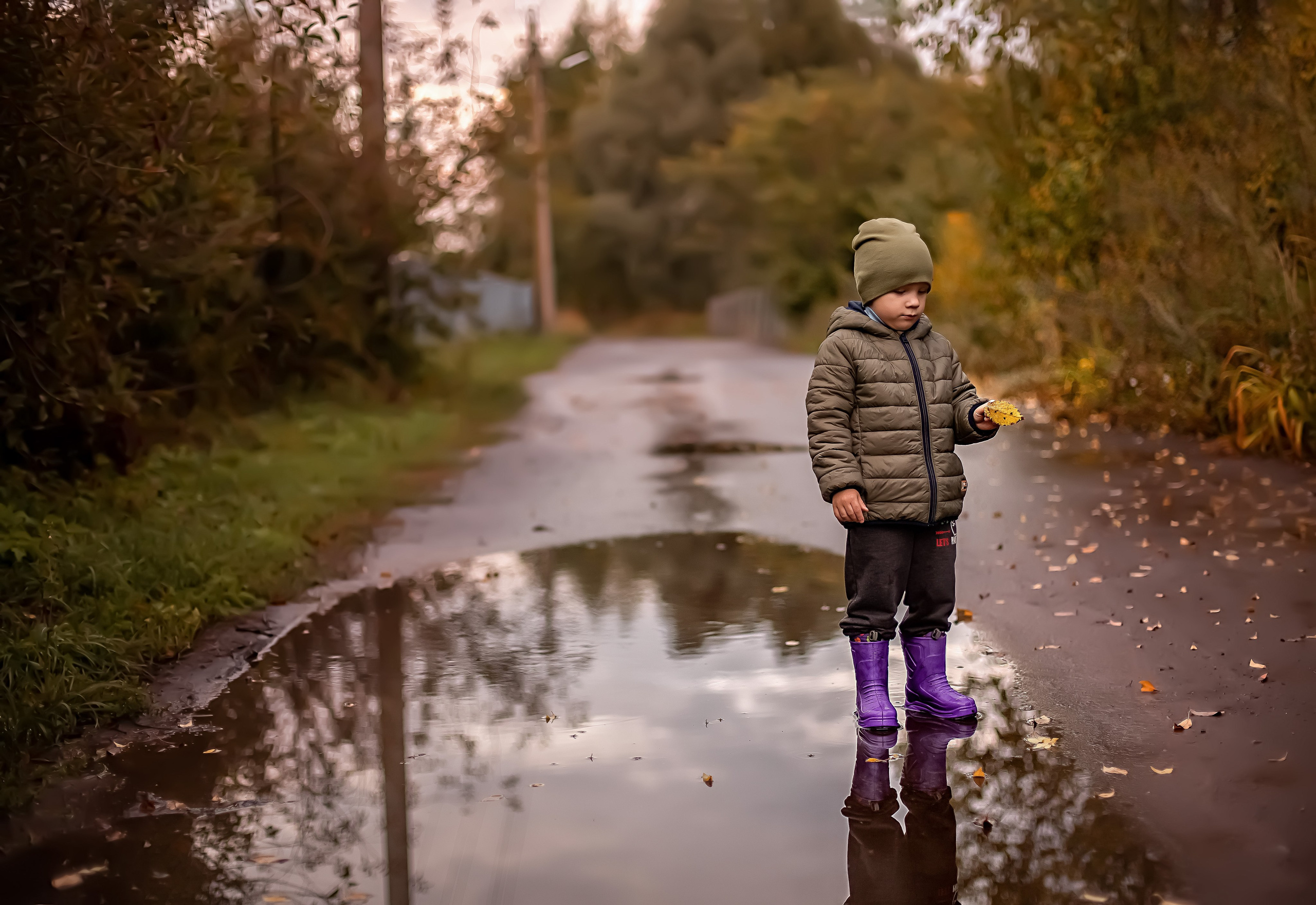 Осень в дерене. Ольга Смирнова юрист, фотограф
