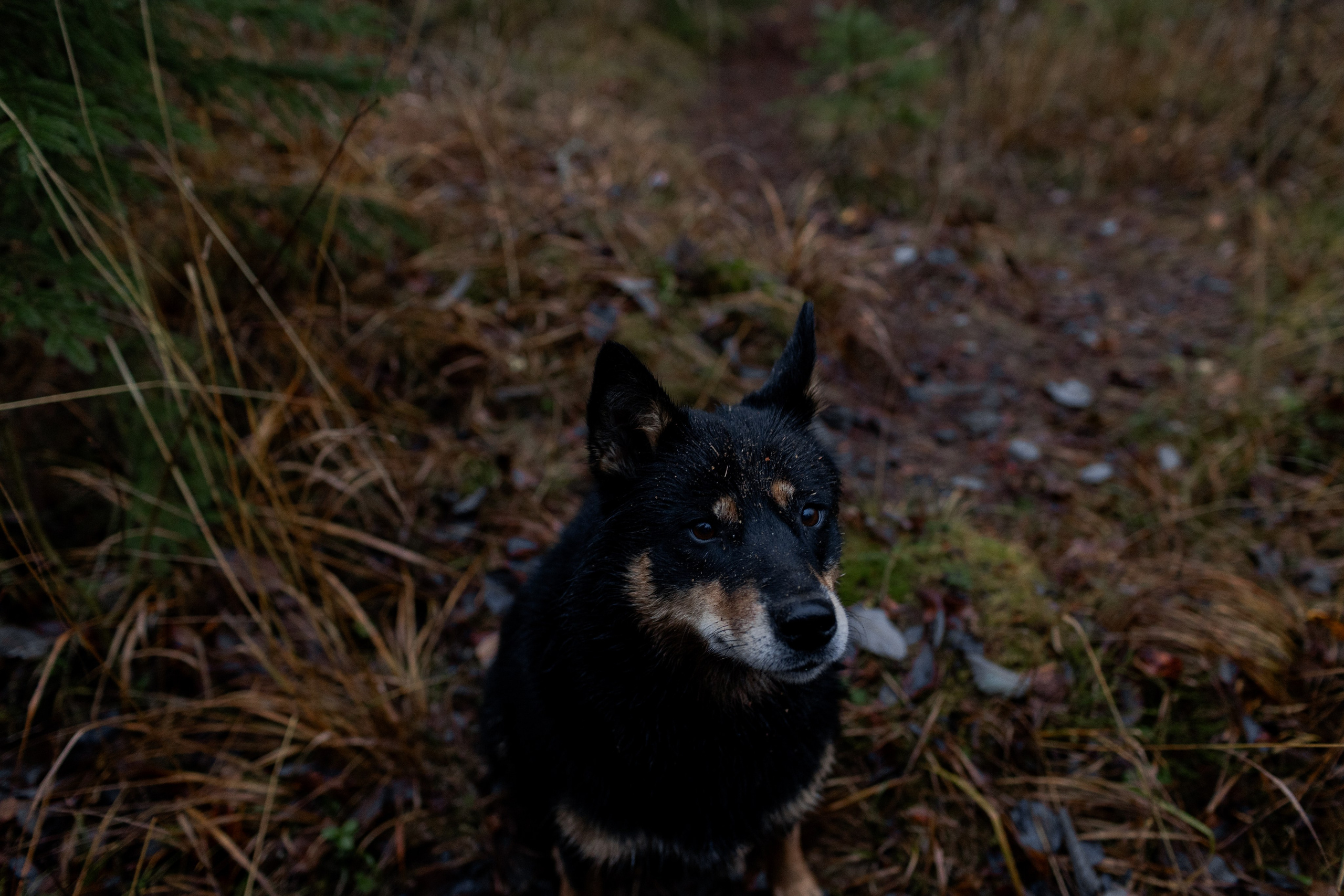 Съемка для глемпинг-отеля Хюгге Кэмп. Природа. Саша Кушнерова Фотографии. Sasha Kushnerova Photos