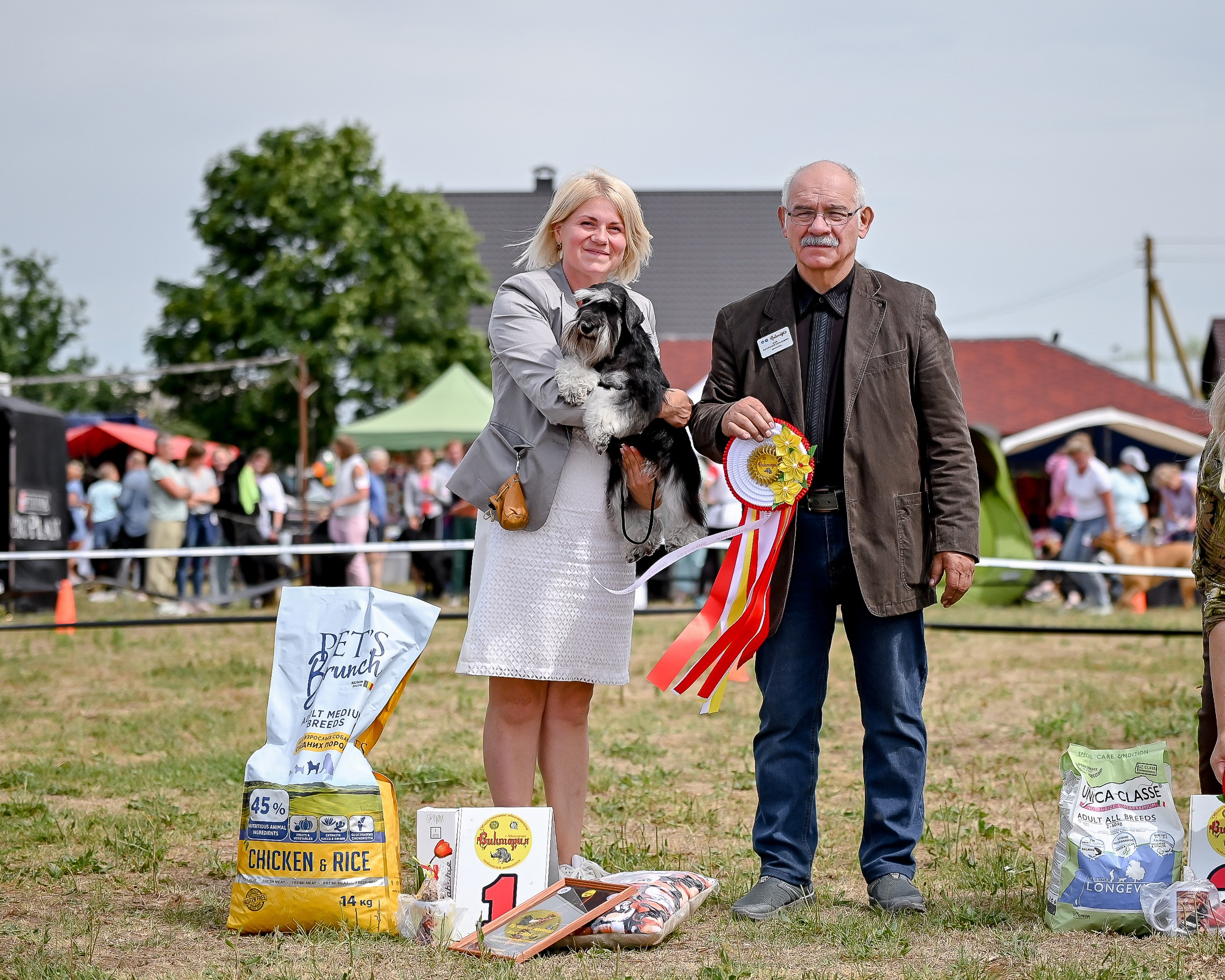Питомник Делинсо Бэлэнс, щенки цвергшнауцера, купить щенка цвергшнауцера, питомник цвергшнауцеров, кобель цвергшнауцера для вязки, щенок цвергшнауцера, питомник цвергшнауцеров, черный с серебром, цверг, лучший питомник в беларуси