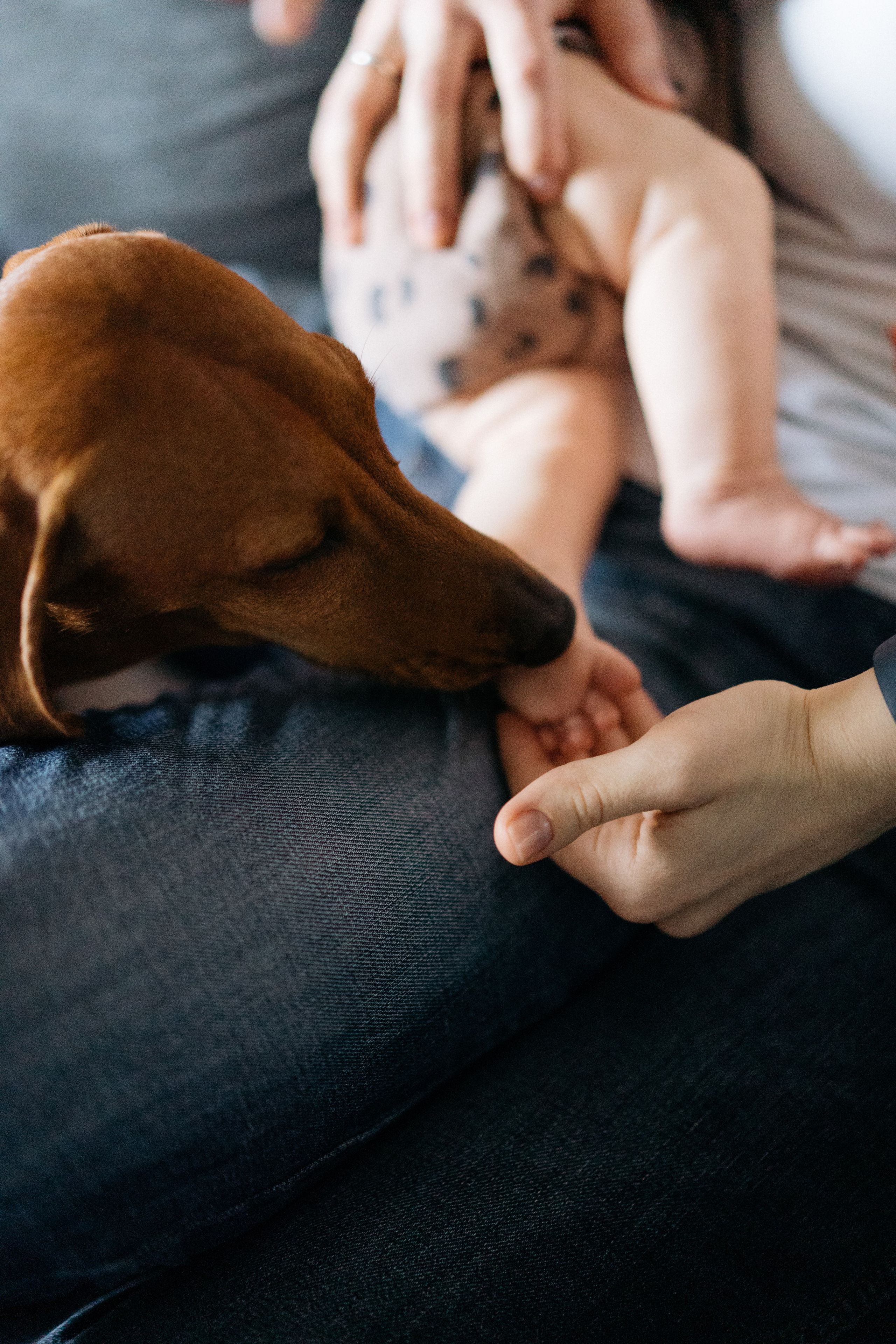 Двойняшки. Свадебный и семейный фотограф в Калининграде Анастасия Гриценко
