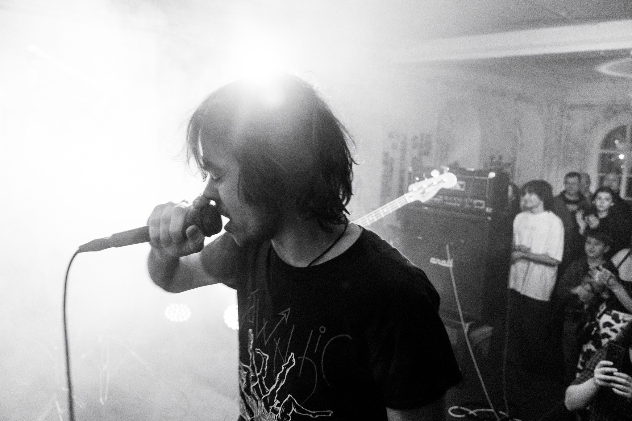 Змееед, Apodemus, 20.12.25, TAGO)))MAGO)))