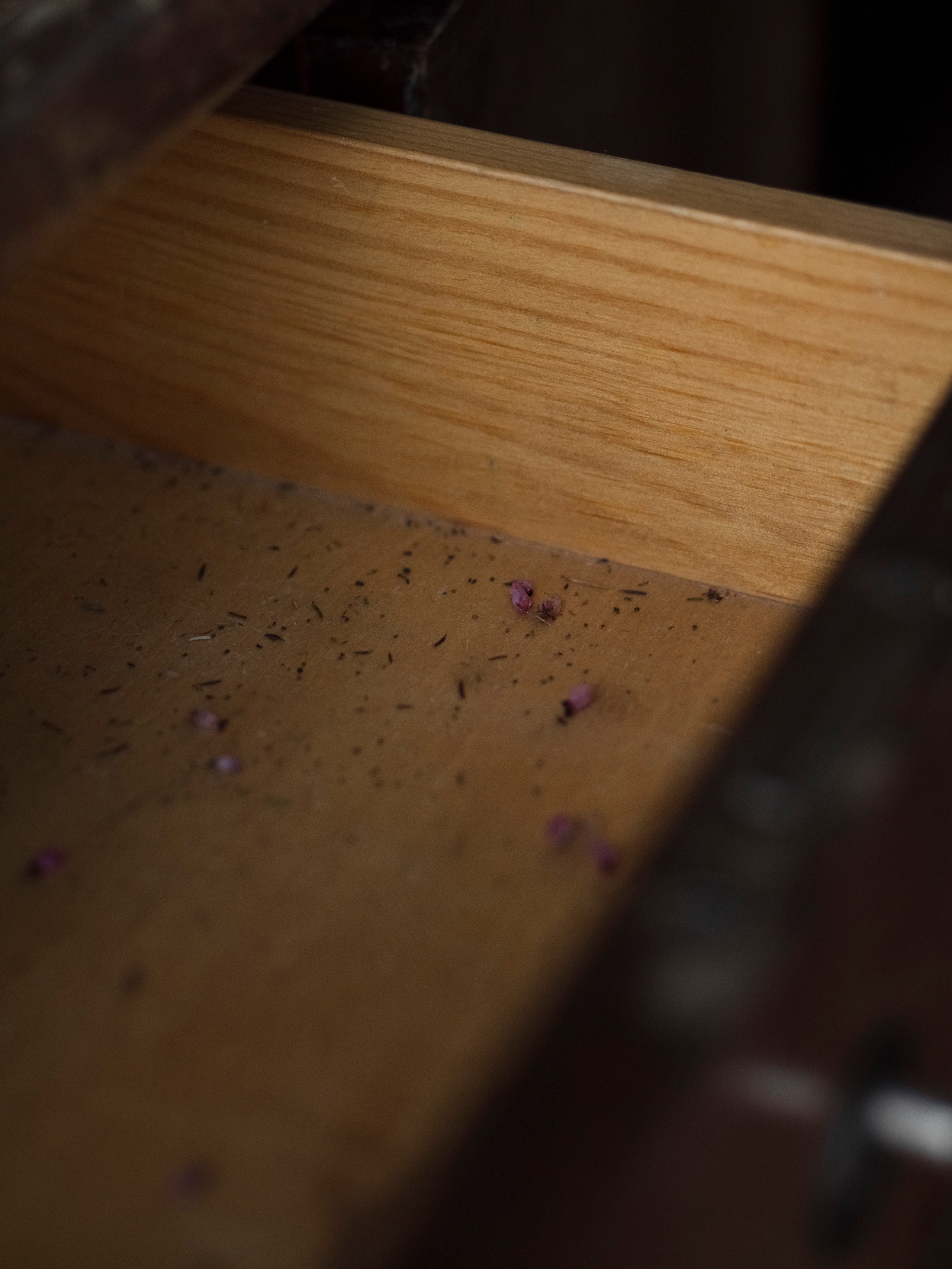 НИНА. Семейный и детский фотограф в Москве