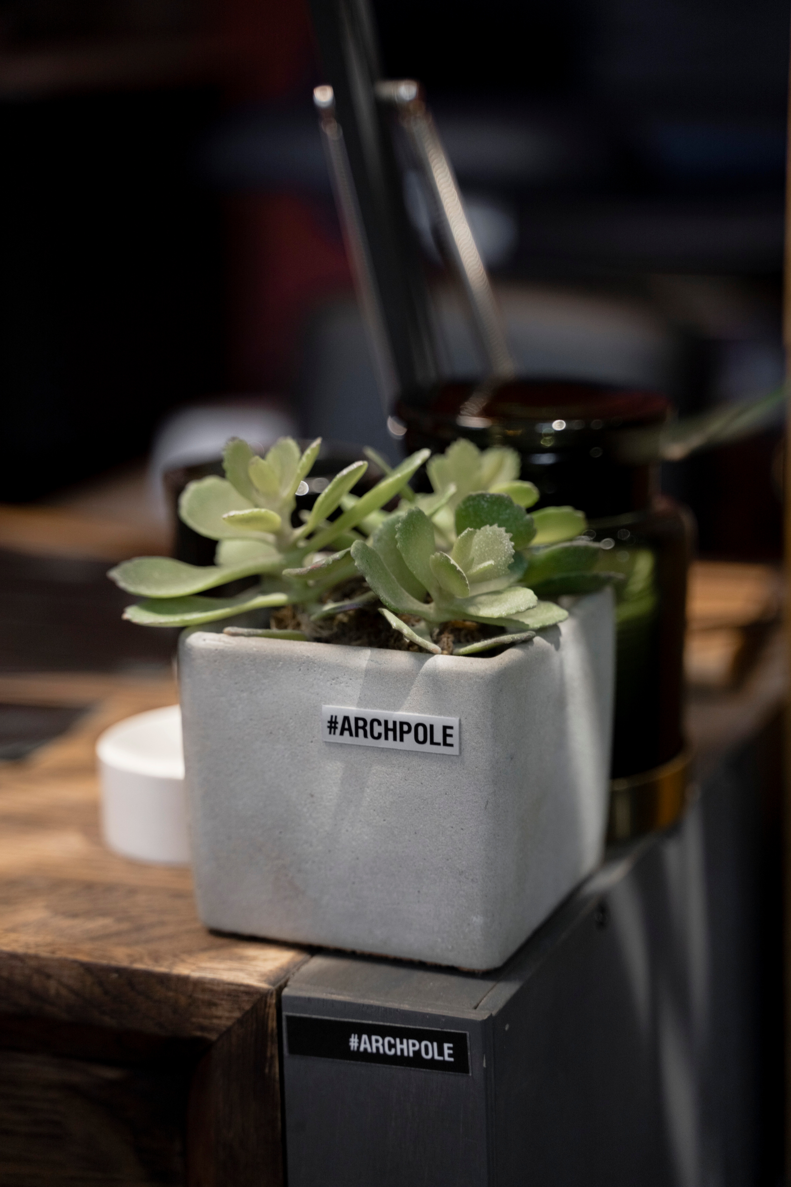 САЛОН КРАСОТЫ. Семейный и детский фотограф в Москве