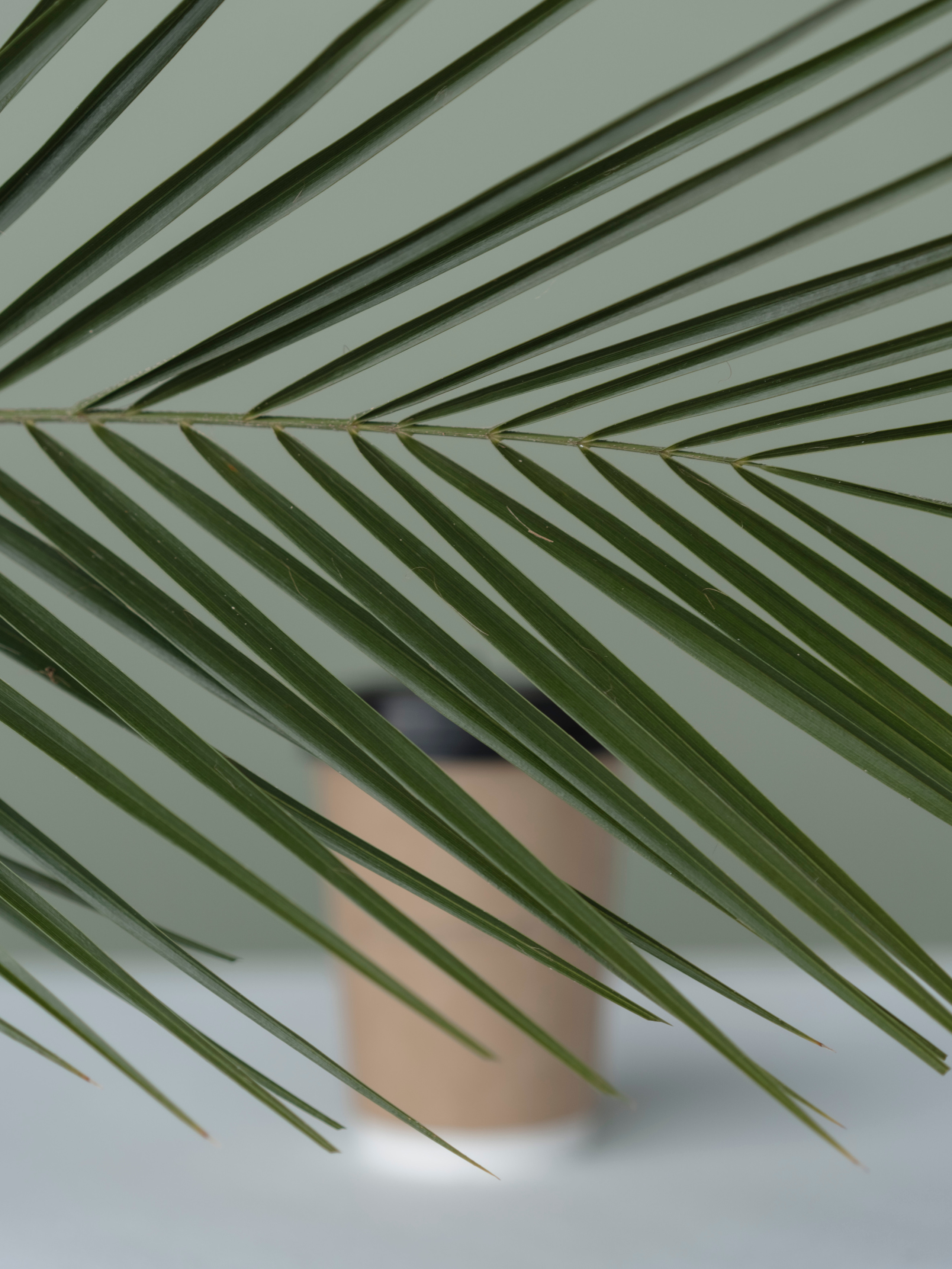 ПЫШЕЧНАЯ 1. Семейный и детский фотограф в Москве