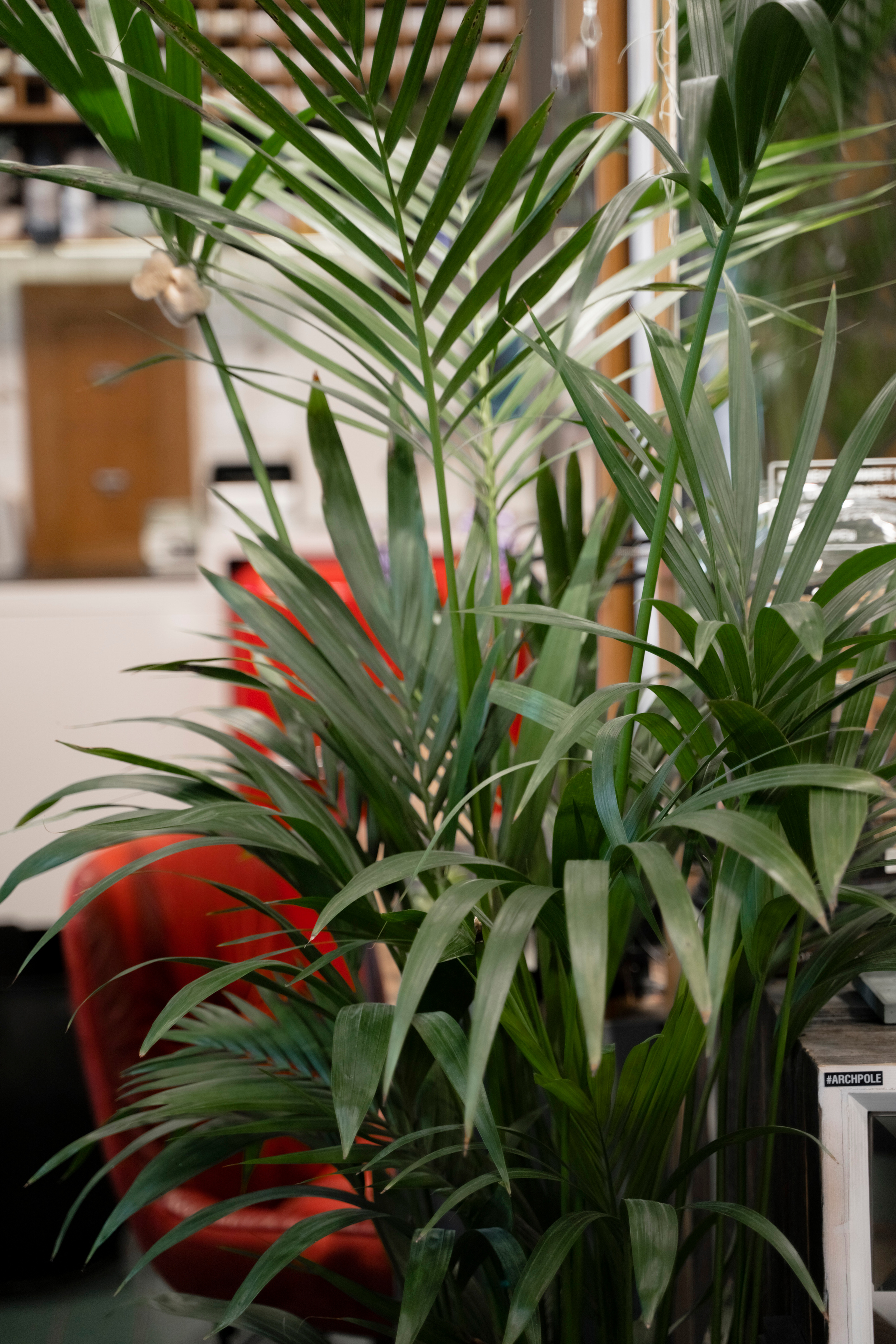 САЛОН КРАСОТЫ. Семейный и детский фотограф в Москве