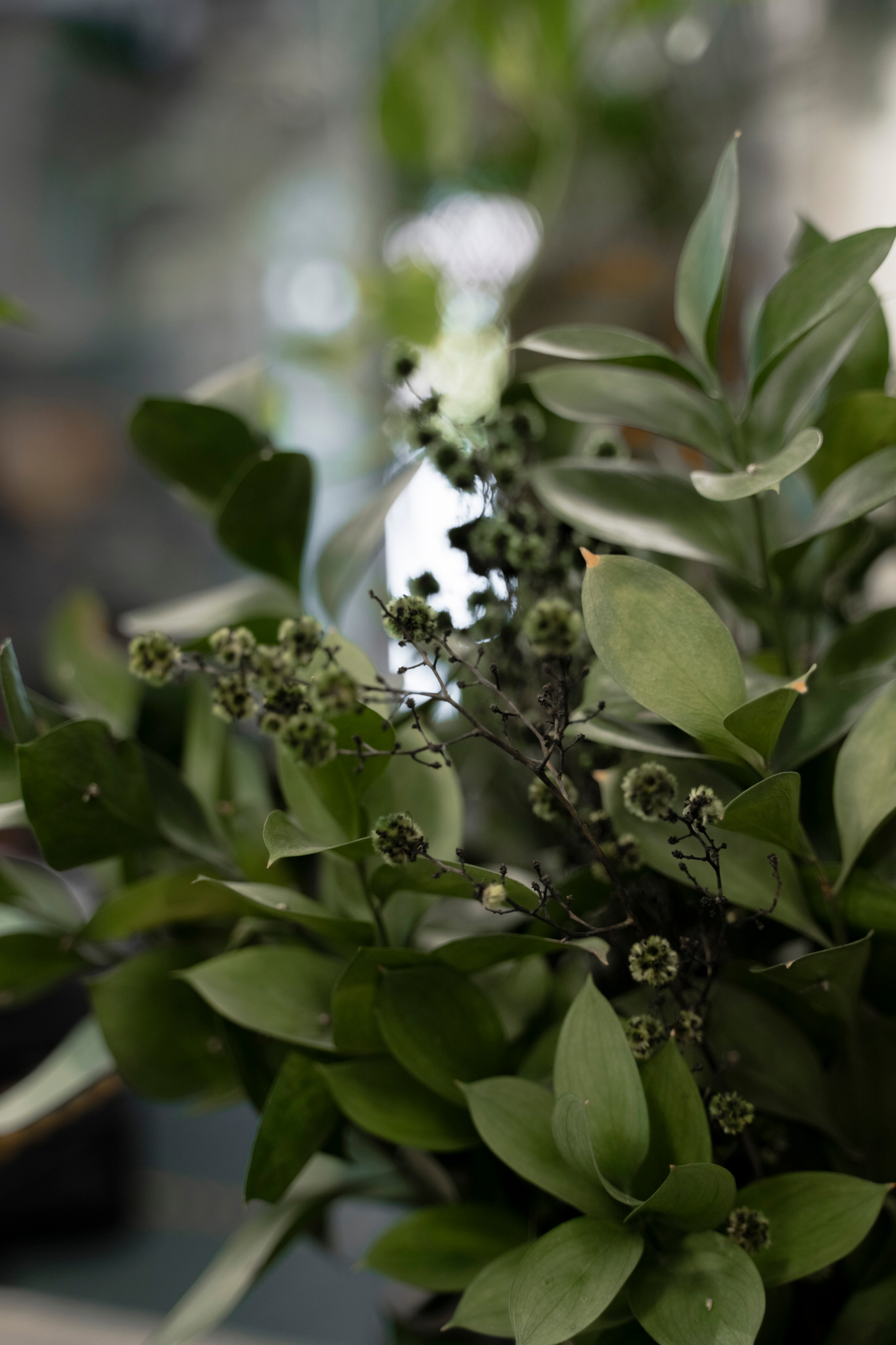 САЛОН КРАСОТЫ. Семейный и детский фотограф в Москве