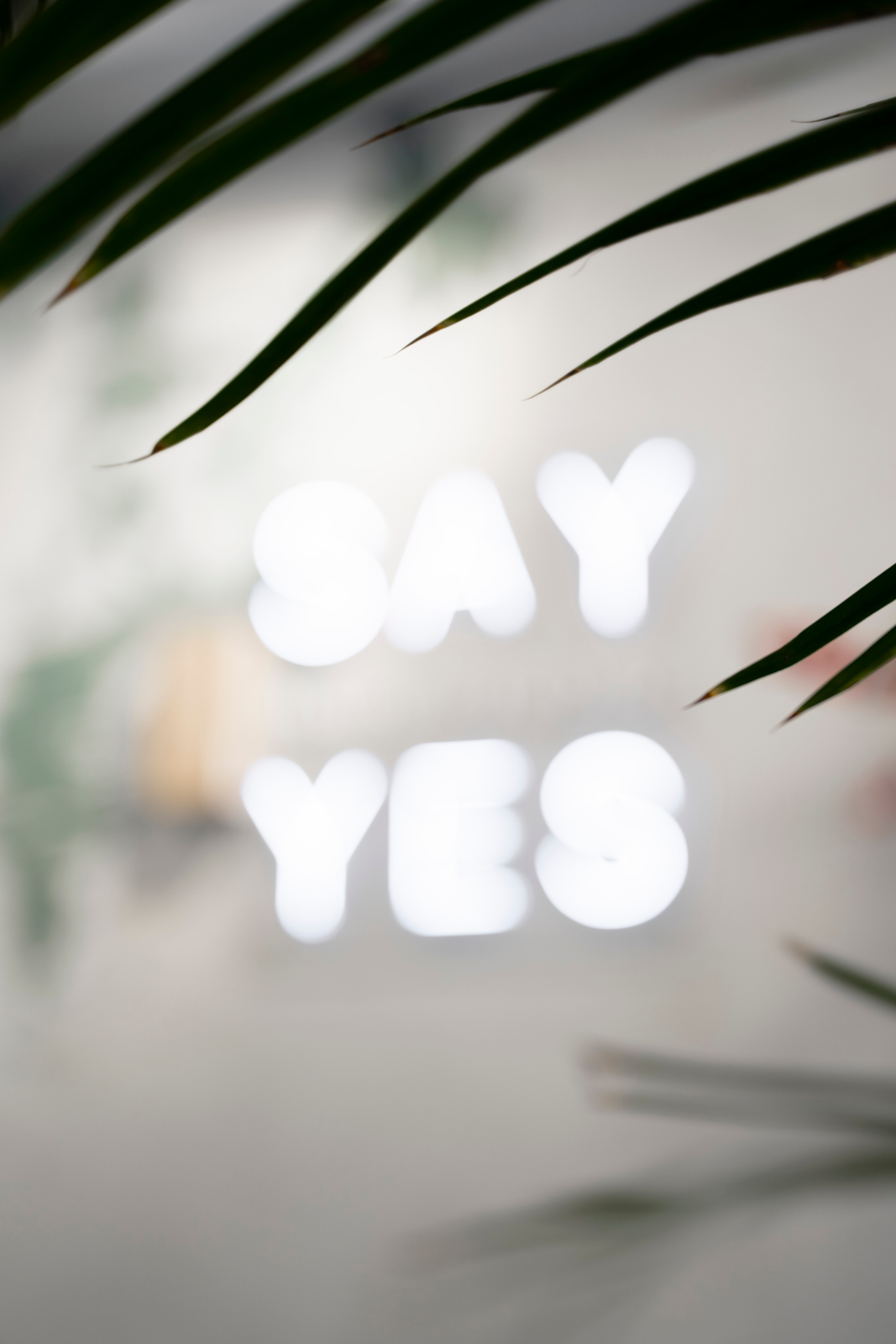 САЛОН КРАСОТЫ. Семейный и детский фотограф в Москве