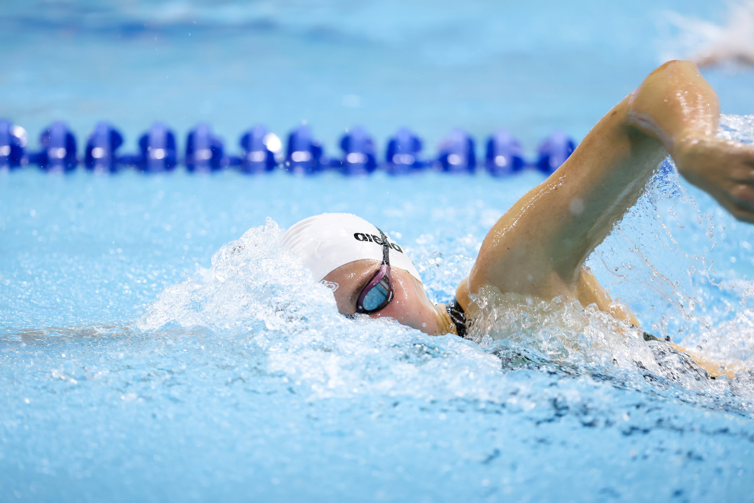 Чемпионат России по плаванию 25 м 21-26.11.2024. Спортивный и репортажный фотограф Антон Тереханов