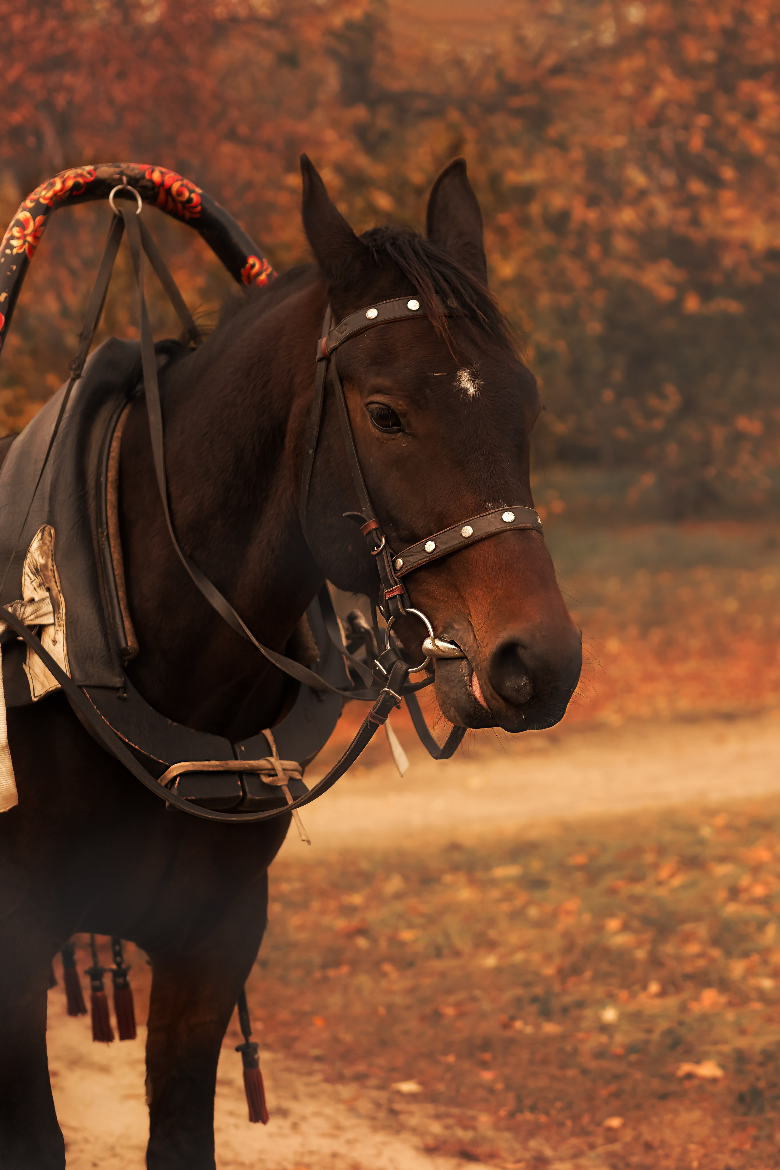 Тарханы. Съемка Таинств Крещения Венчания, детские и семейные съемки в Пензе