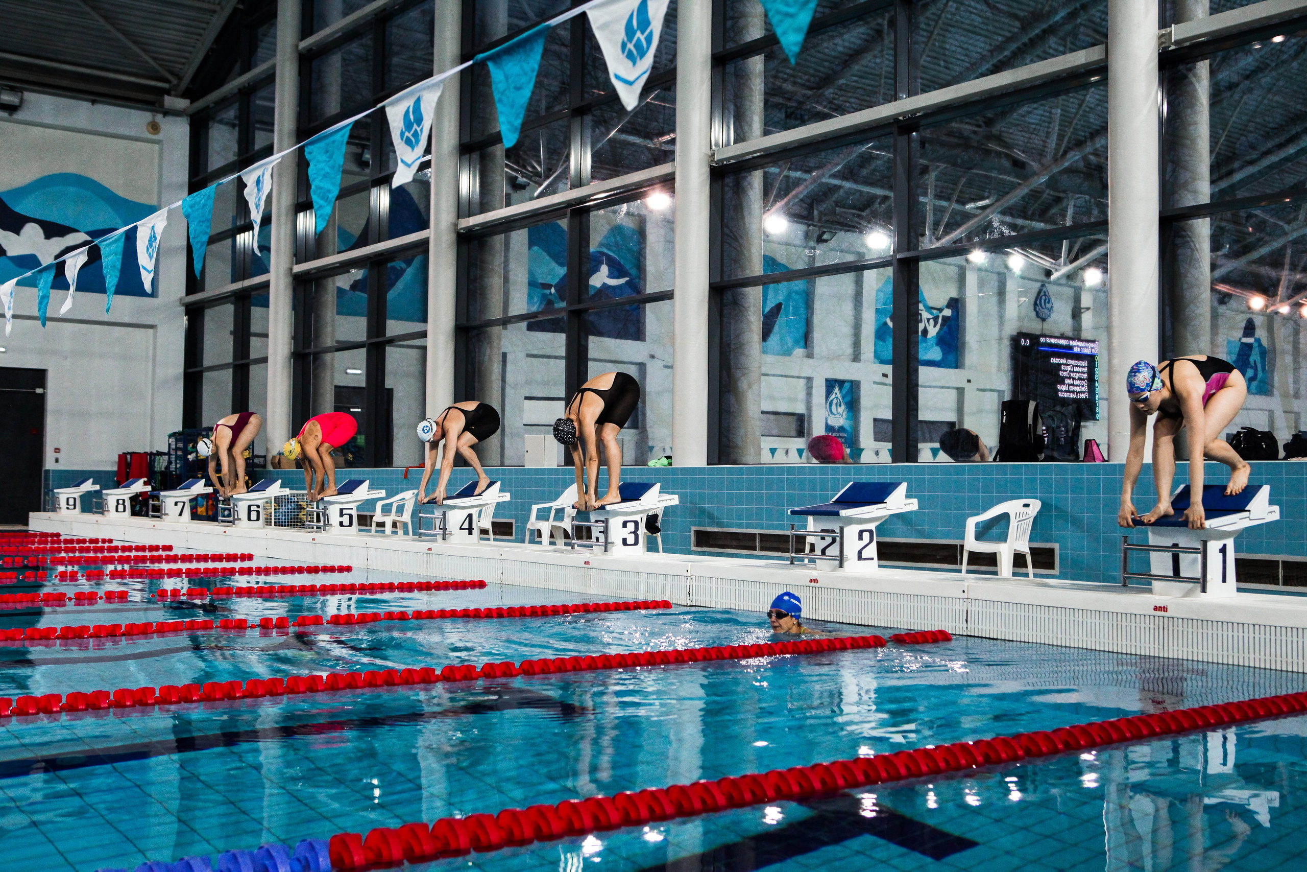 Соревнования по плаванию. Репортажный, семейный, свадебный, портретный фотограф