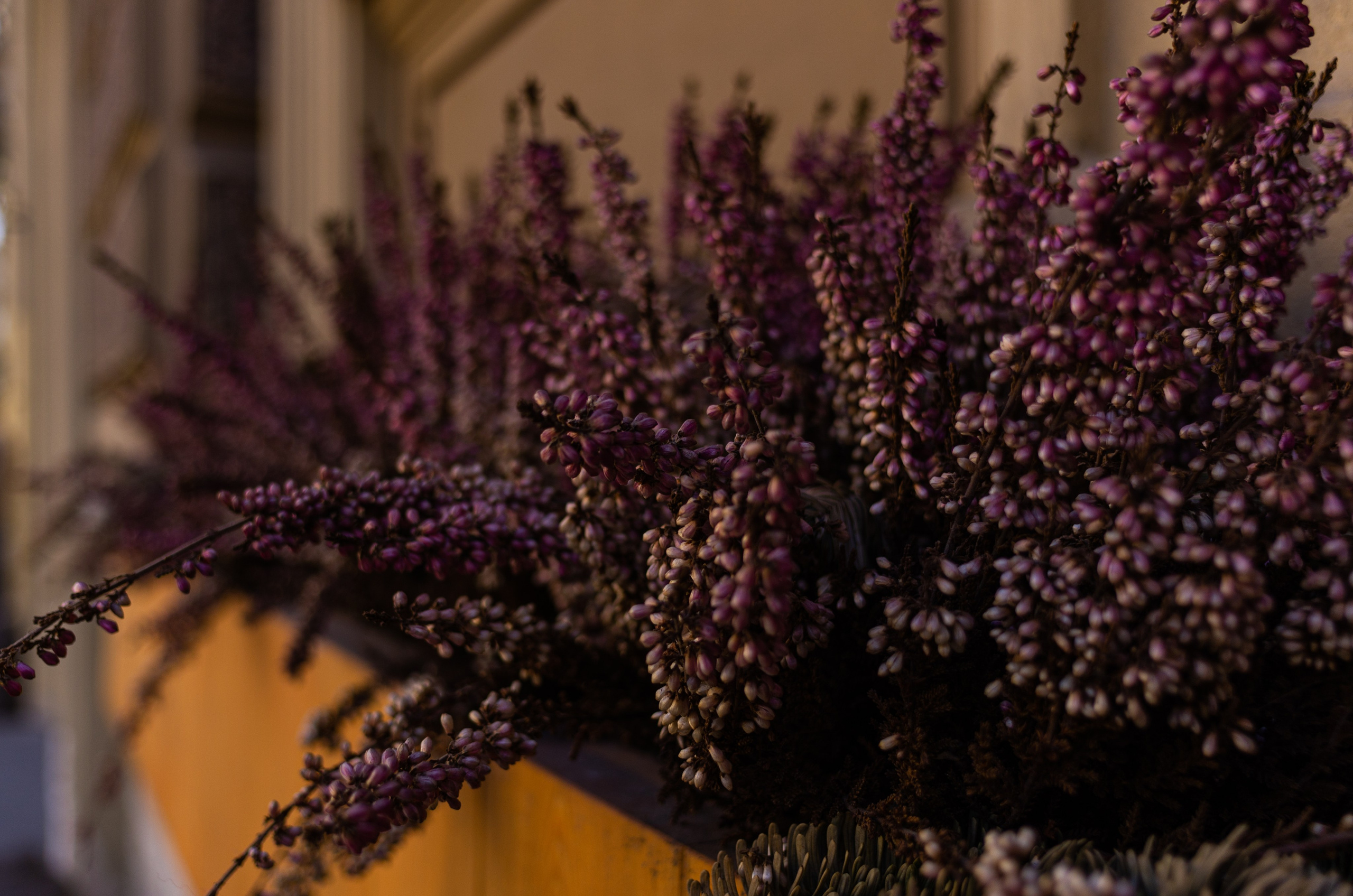 Интерьер и детали. Коммерческий фотограф в Москве Садовников Алексей