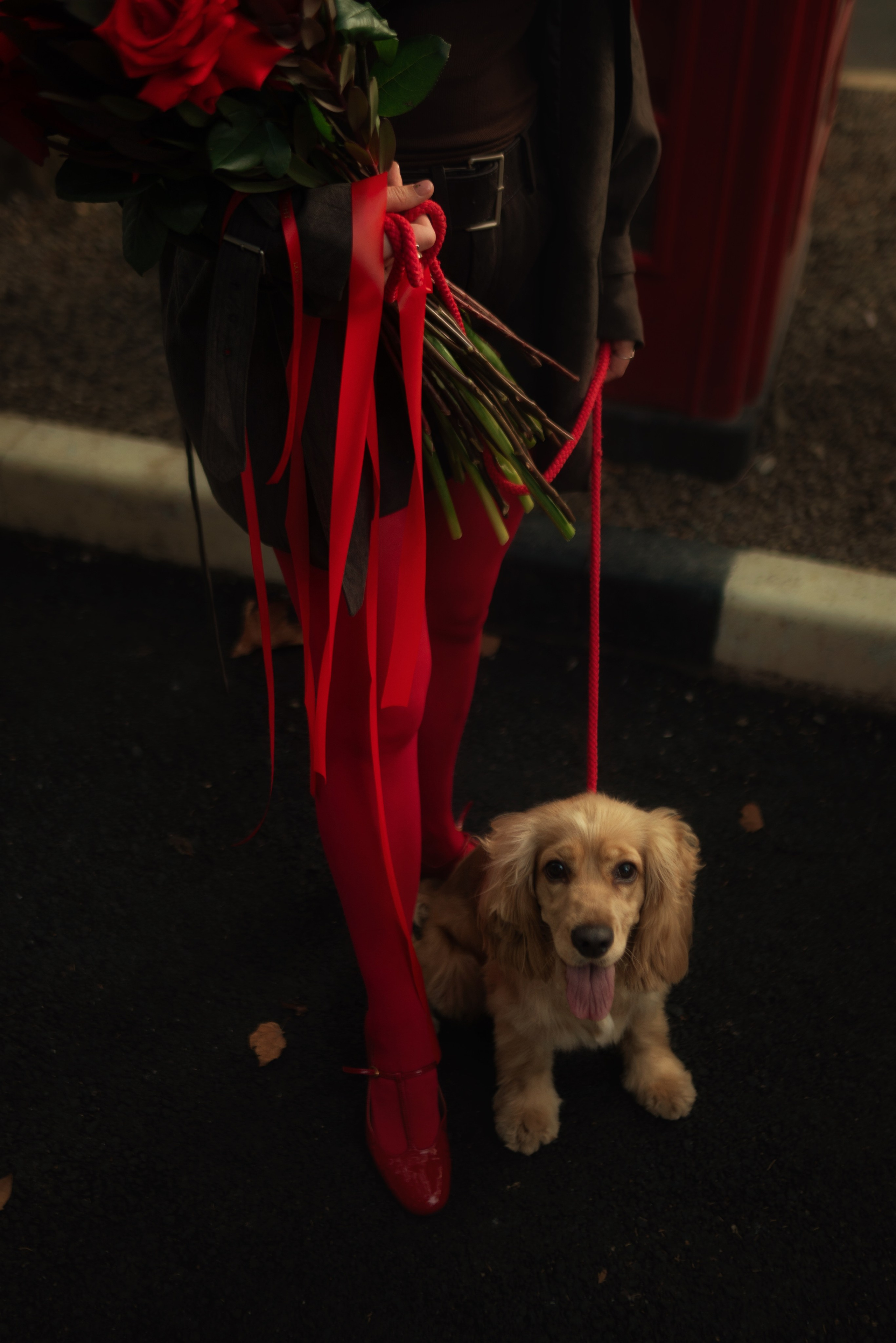 Осенний день. Портфолио фотографа Анастасии Блохиной