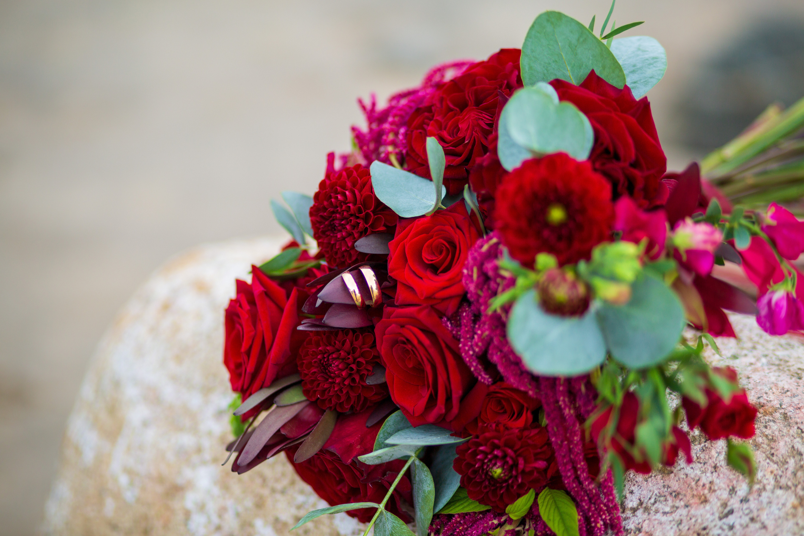 Свадебные фотосессии. Свадебный, семейный и детский фотограф в Калининграде Елена Кравцова