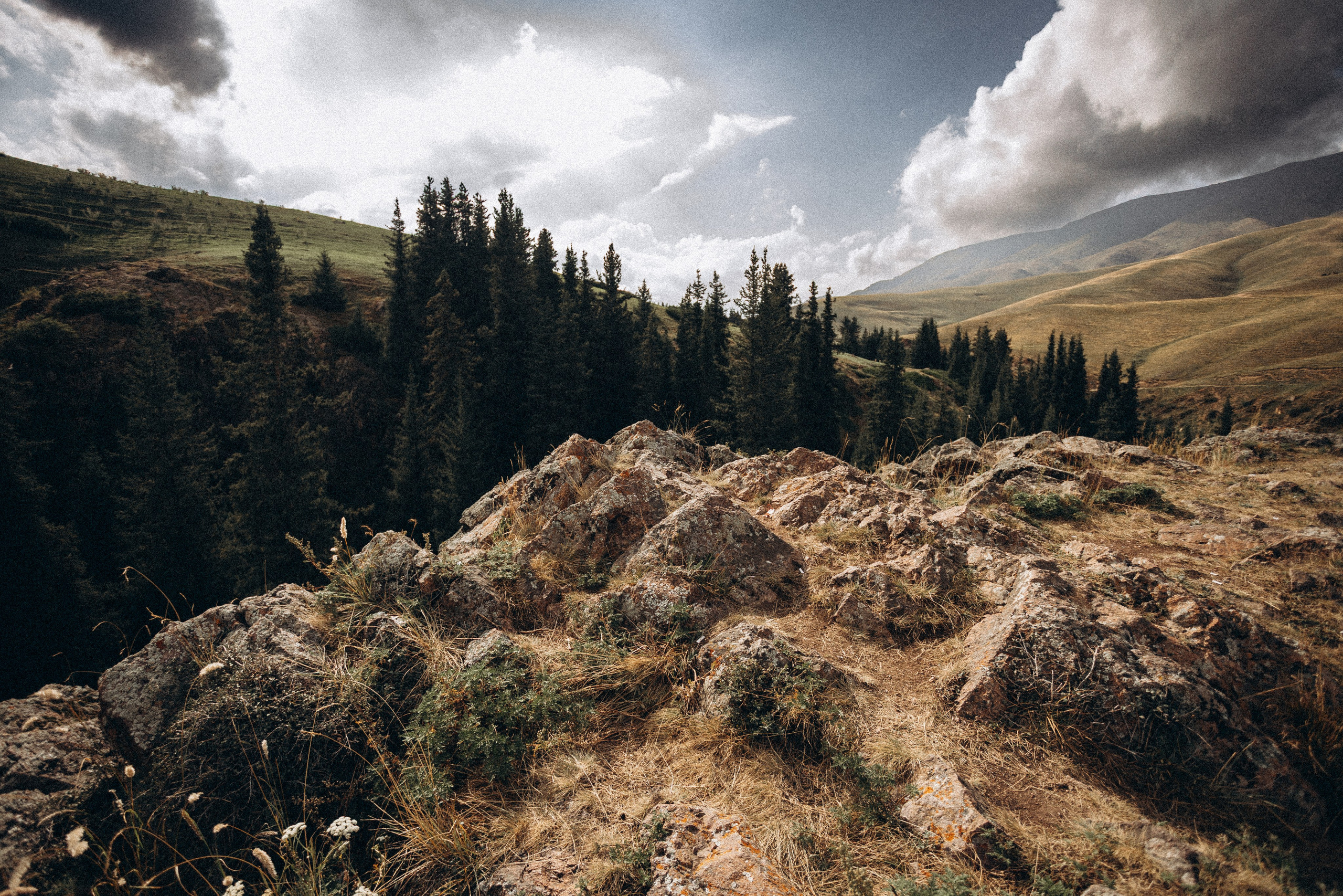 Плато Ассы. Экскурсии и туры по Алматы