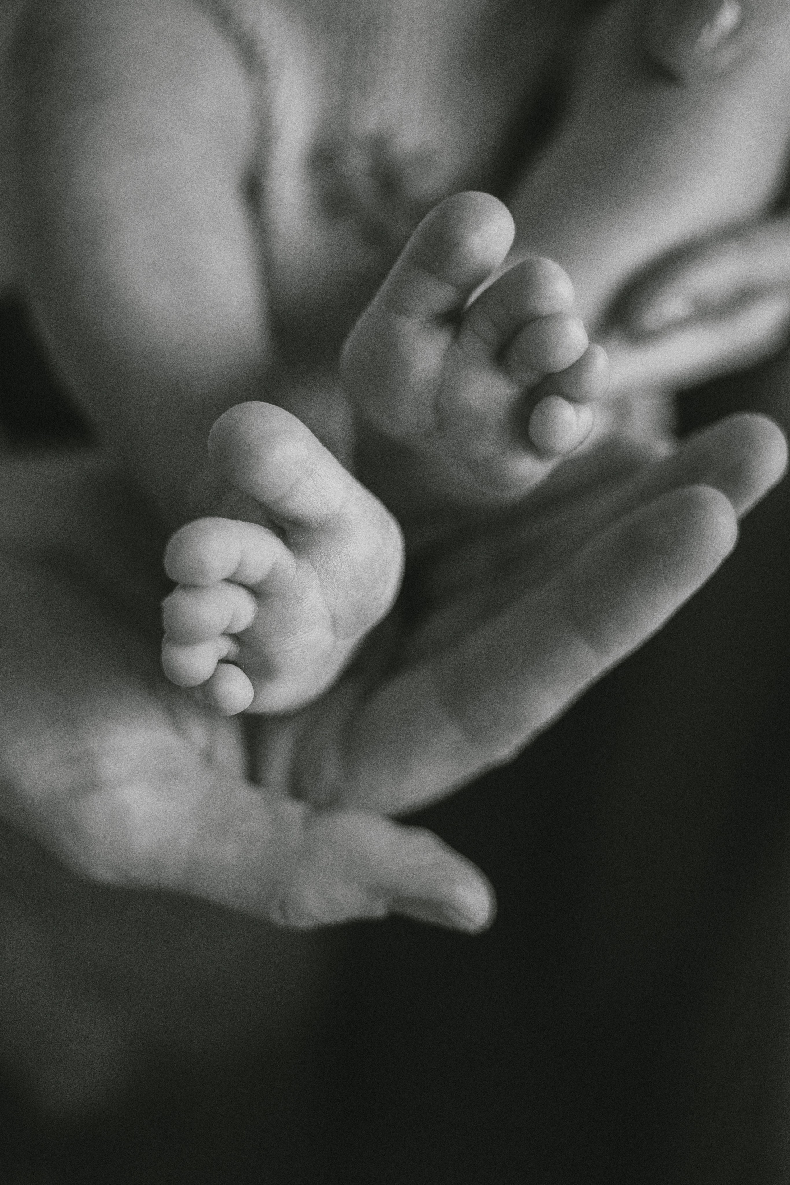 Домашнее счастье. Фотограф в Краснодаре Евгения Михаевич