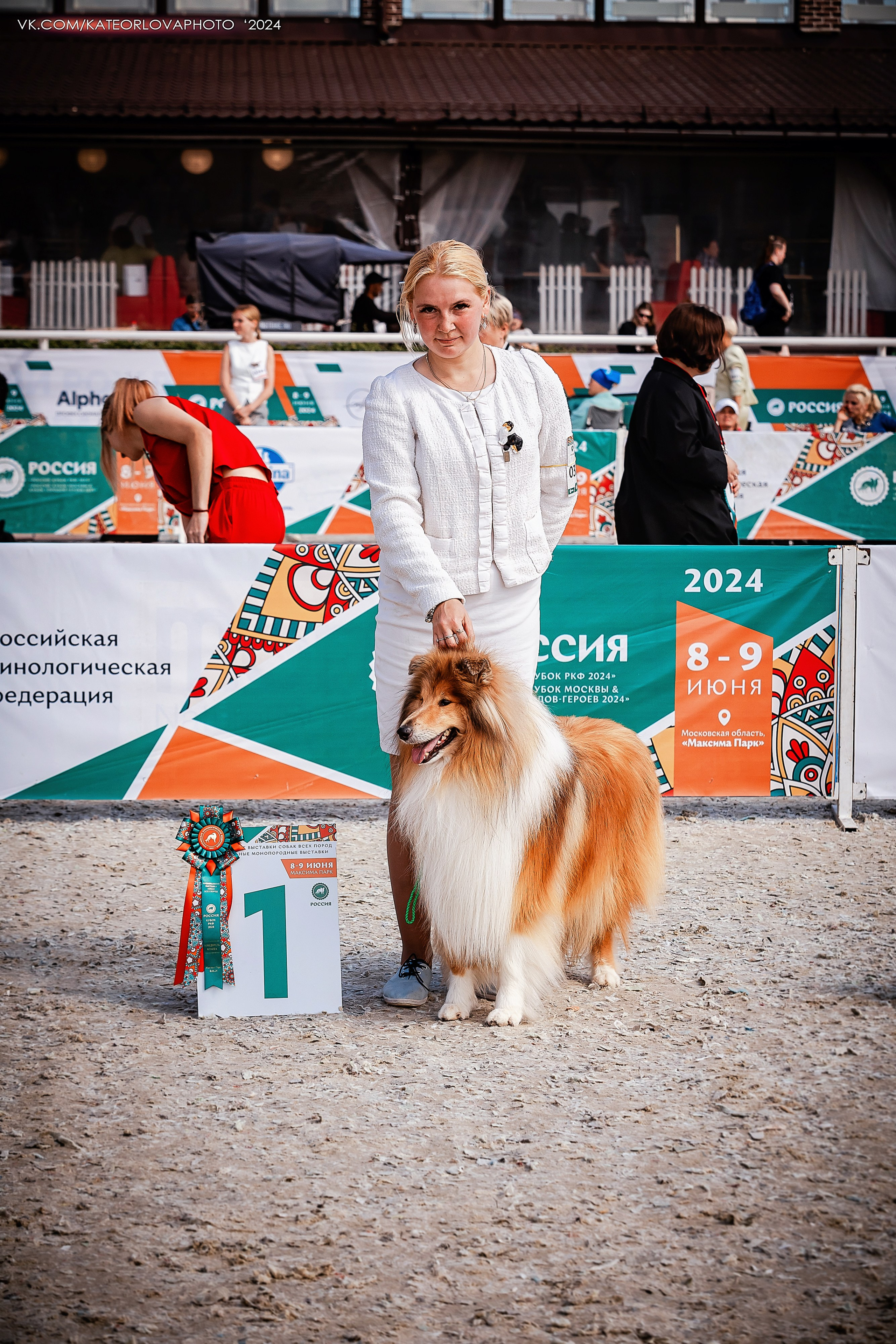 Фотосъемка собак, щенков, на выставках, фотограф анималист Россия воронеж. Питомник собак Акита, Хаски, Корги