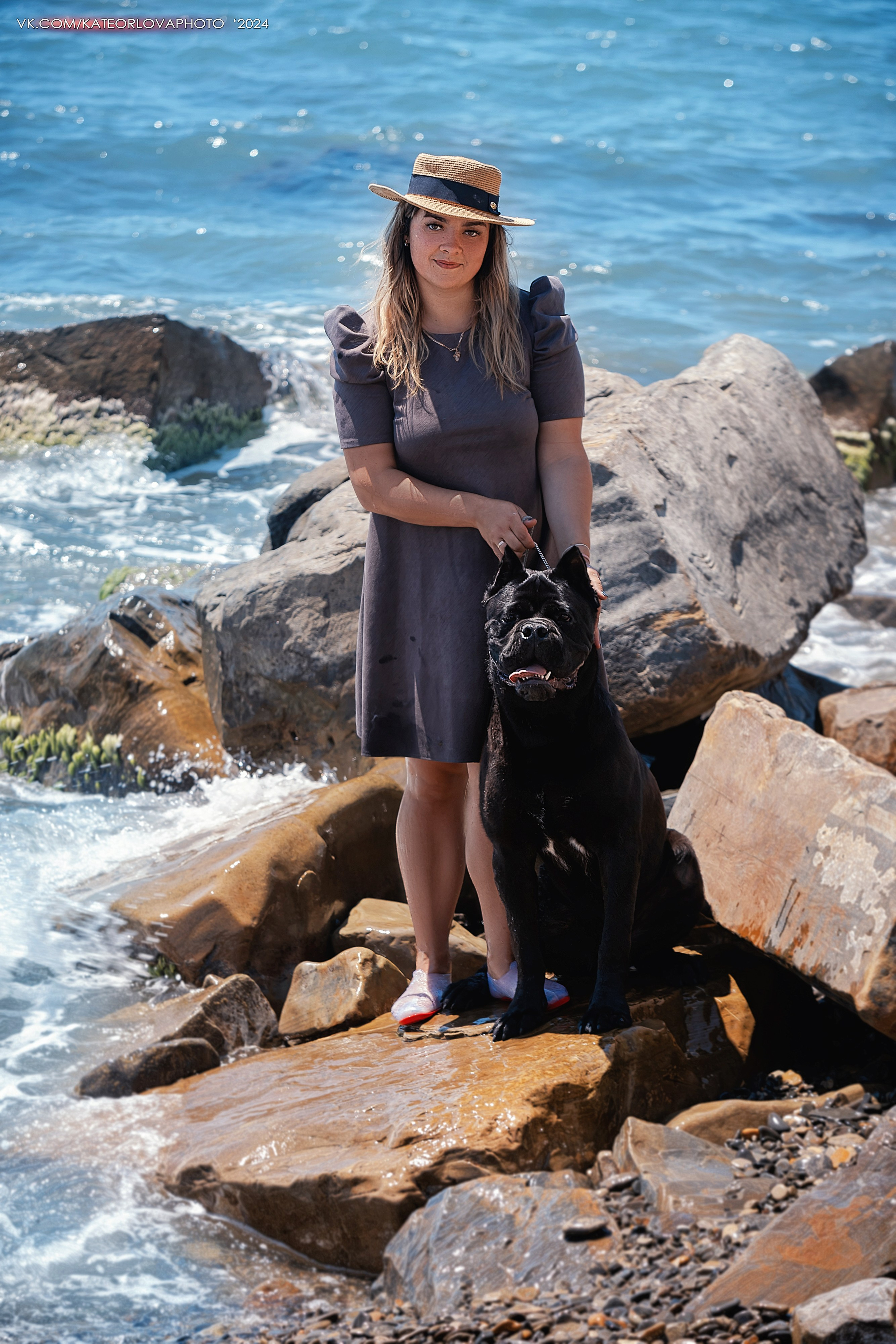 Фотосъемка собак, щенков, на выставках, фотограф анималист Россия воронеж. Питомник собак Акита, Хаски, Корги