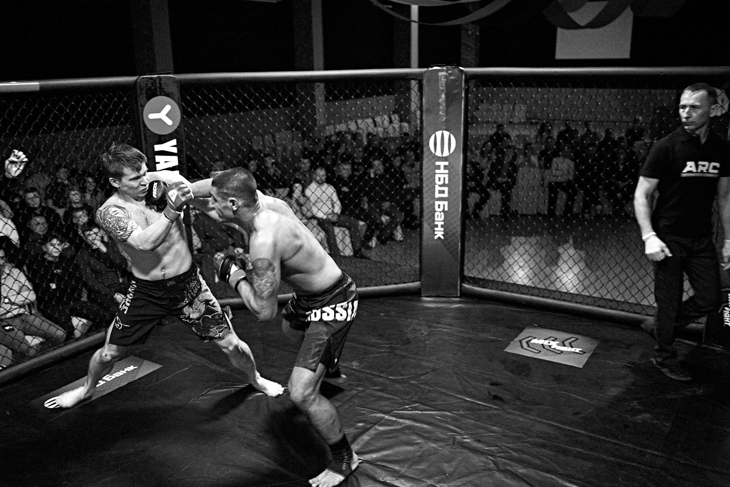 Бои. Маляревич Дмитрий свадебный фотограф