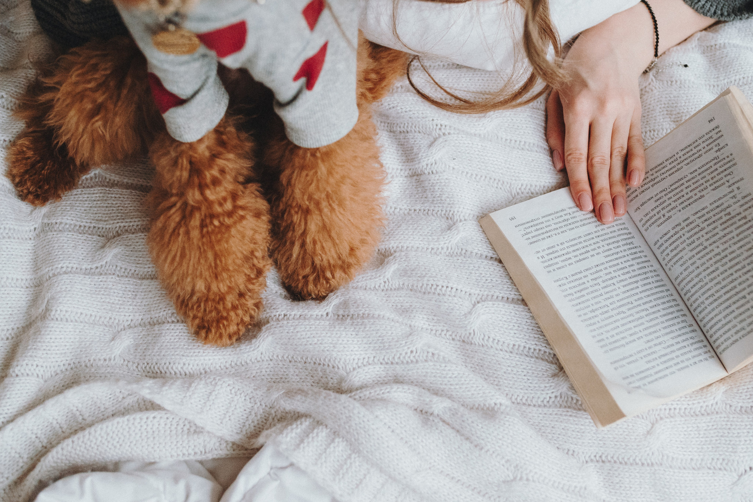 Natalia Finch Photography — Family, Kids & Pet Photographer in Chicago, IL