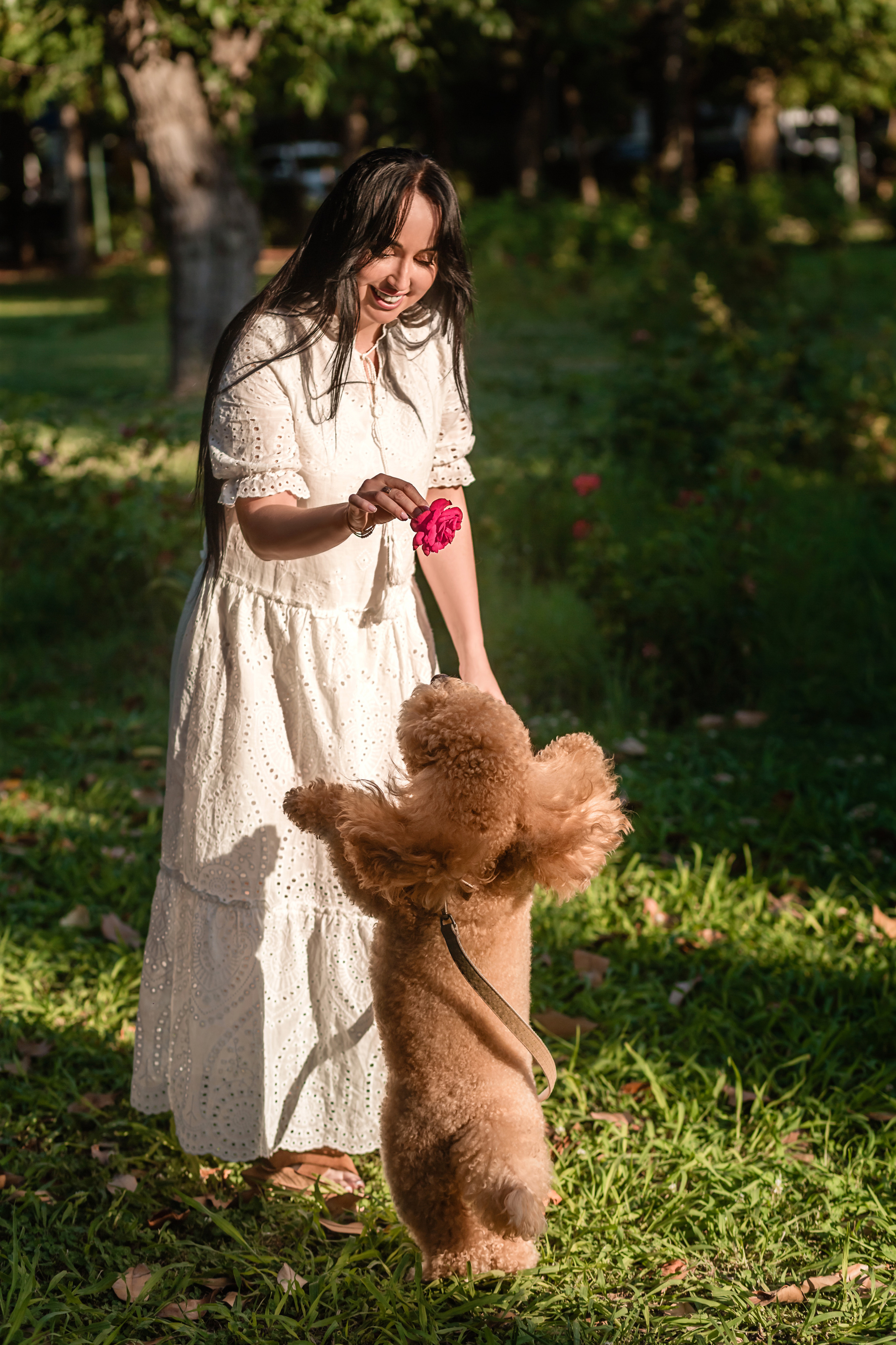 Personal photo session with a dog