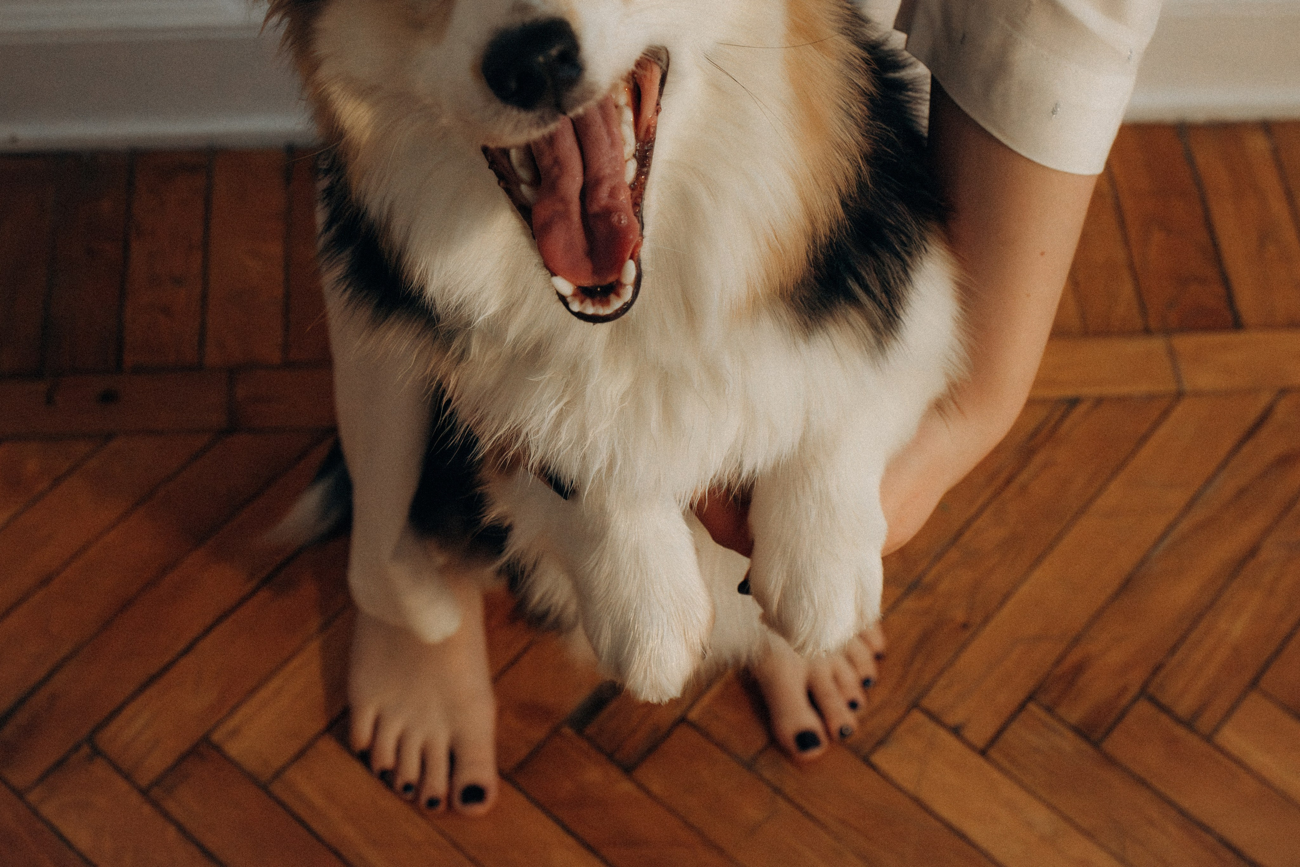 Мишель и Влада. Фотораф — анималист Мария Шистка